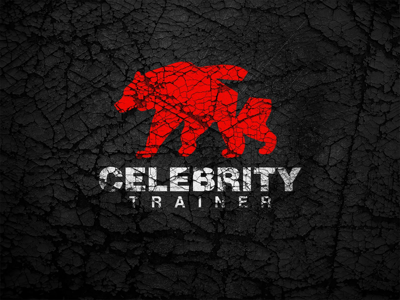 Celebrity_Trainer_Branding_Design_06.jpg