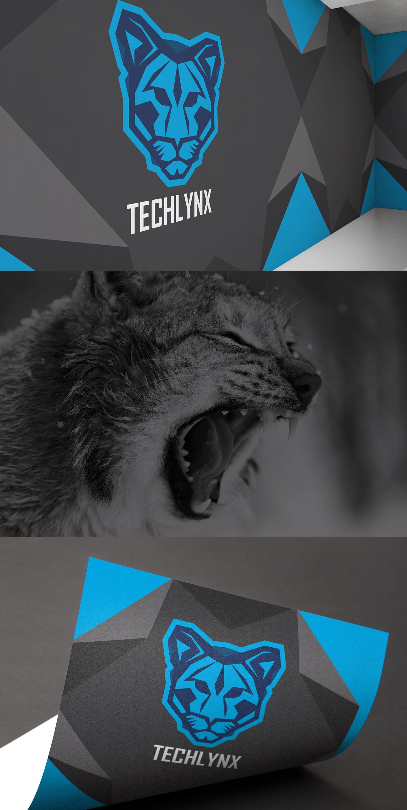 Techlynx-branding-identity-design-01.jpg