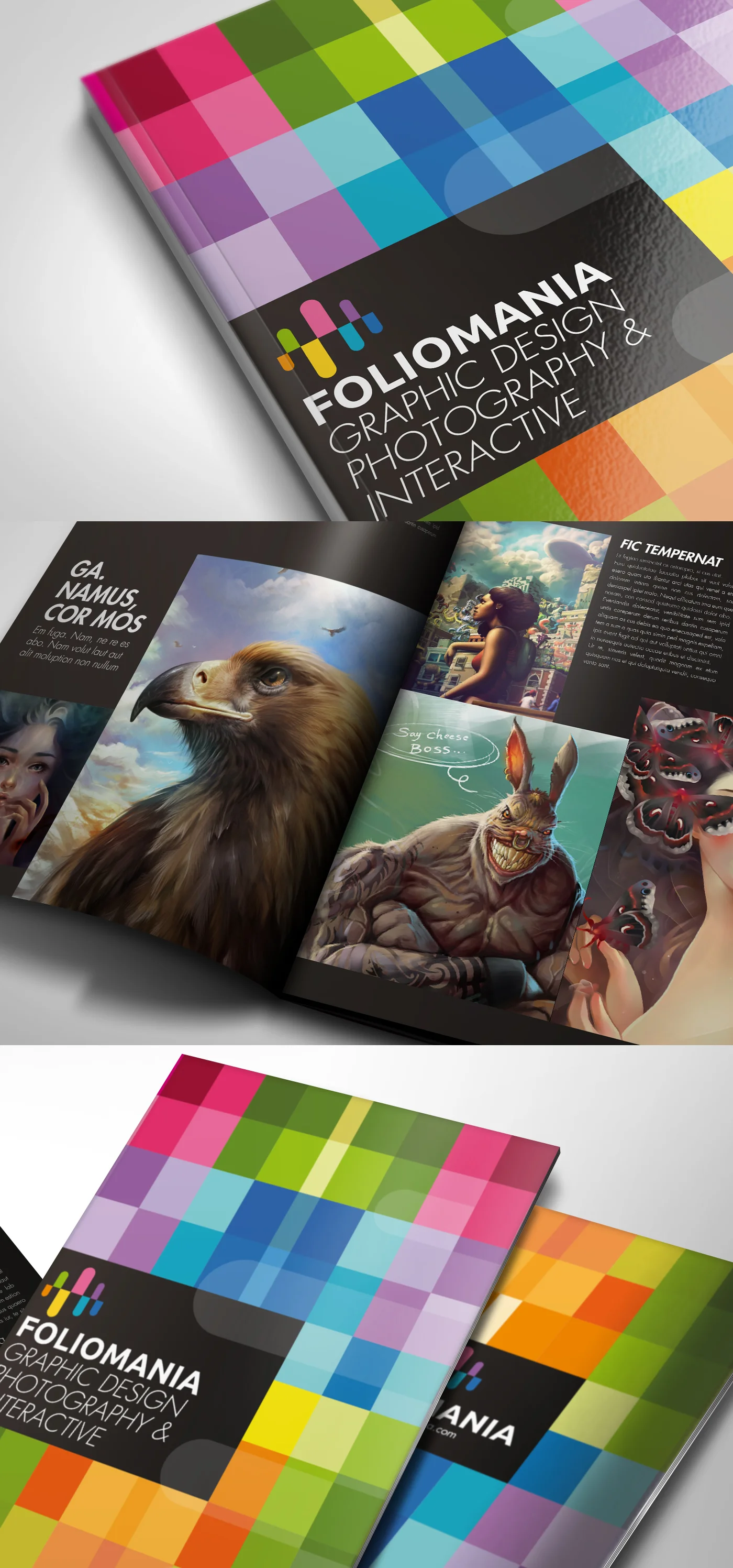Foliomania_designer_portfolio_brochure_03.jpg