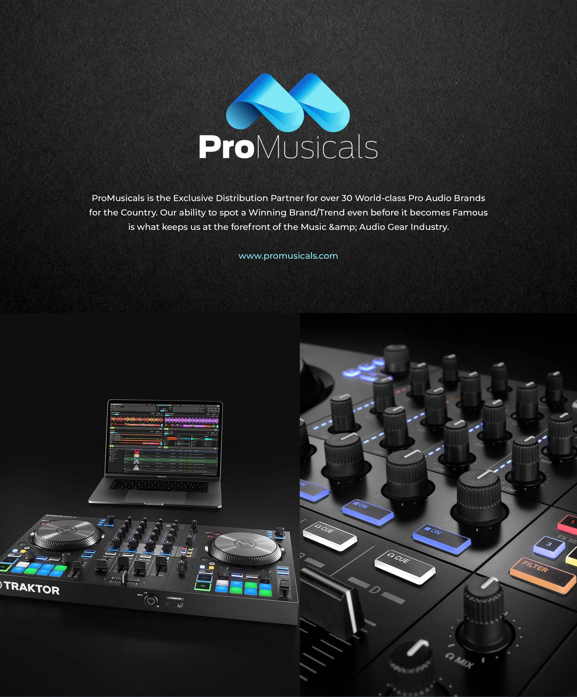 ProMuscials Branding identity design - 02.jpg