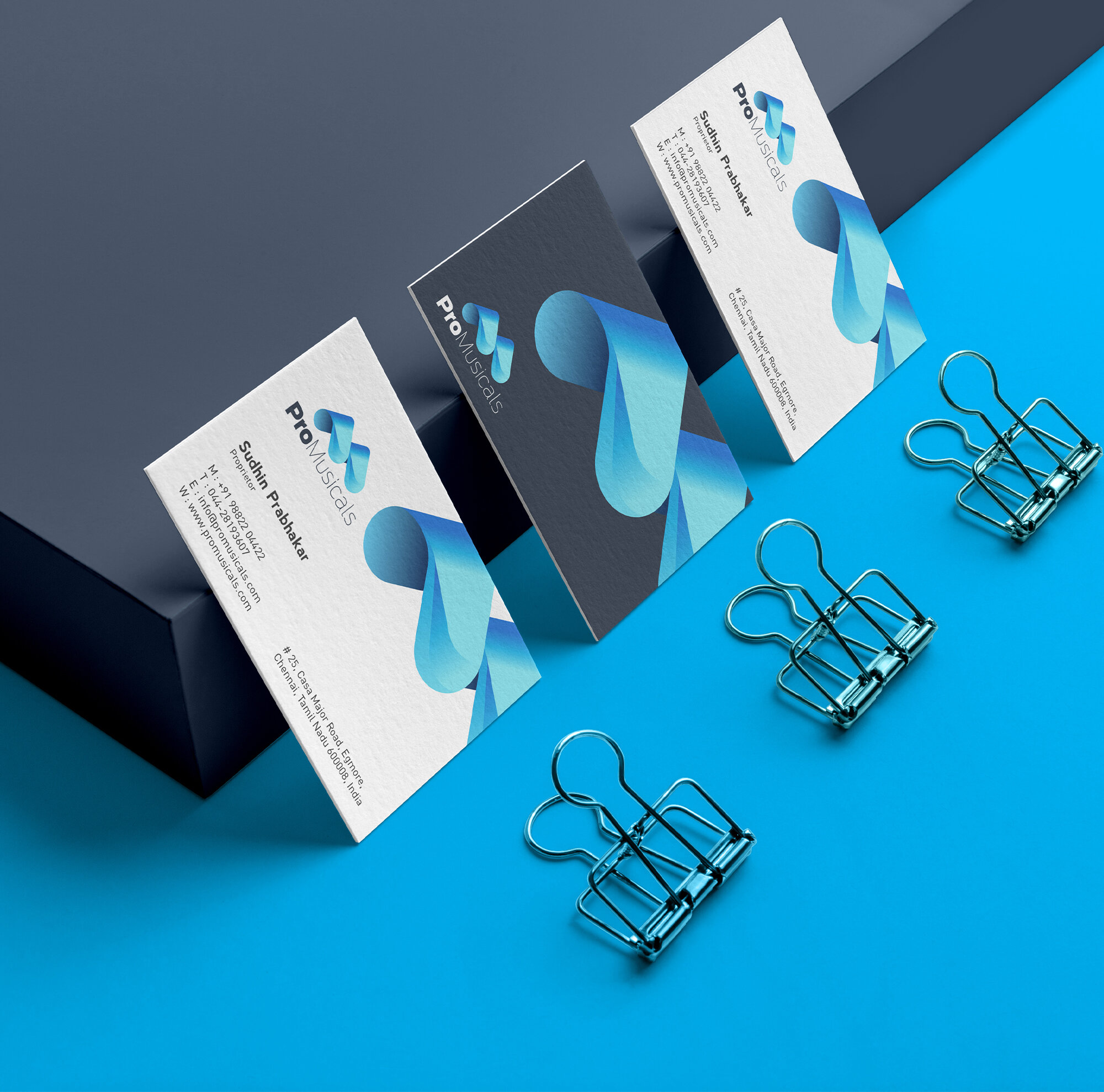 ProMuscials Branding identity design - 03.jpg