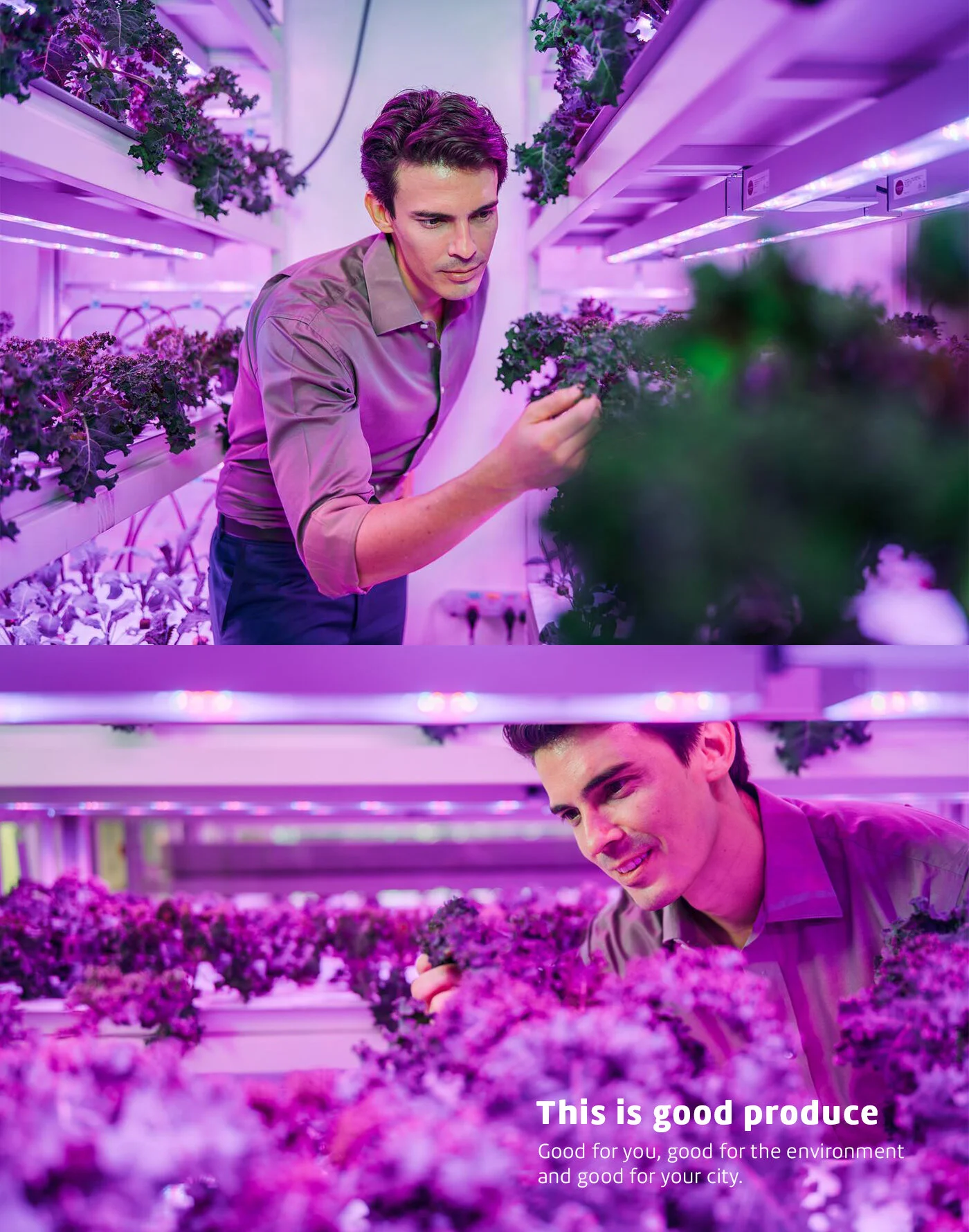Sustenir Agriculture Singapore Branding - 02.jpg