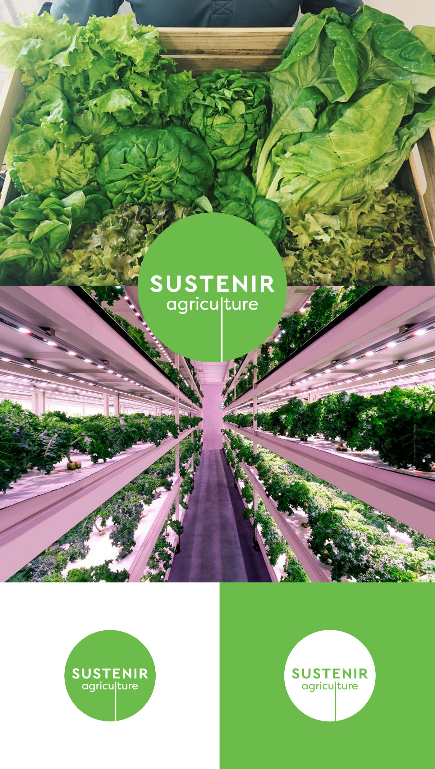 Sustenir Agriculture Singapore Branding - 01.jpg