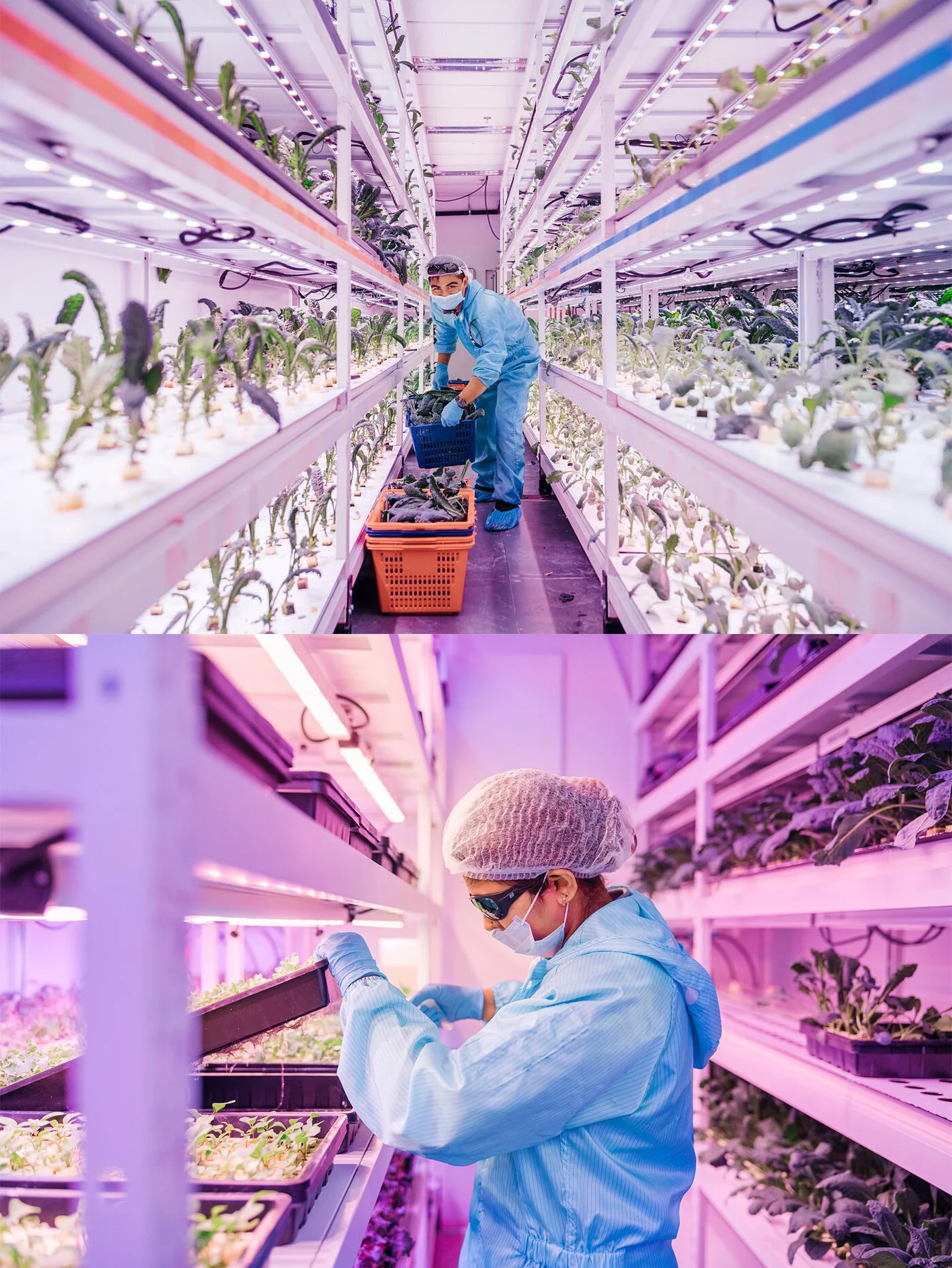 Sustenir Agriculture Singapore Branding - 05.jpg