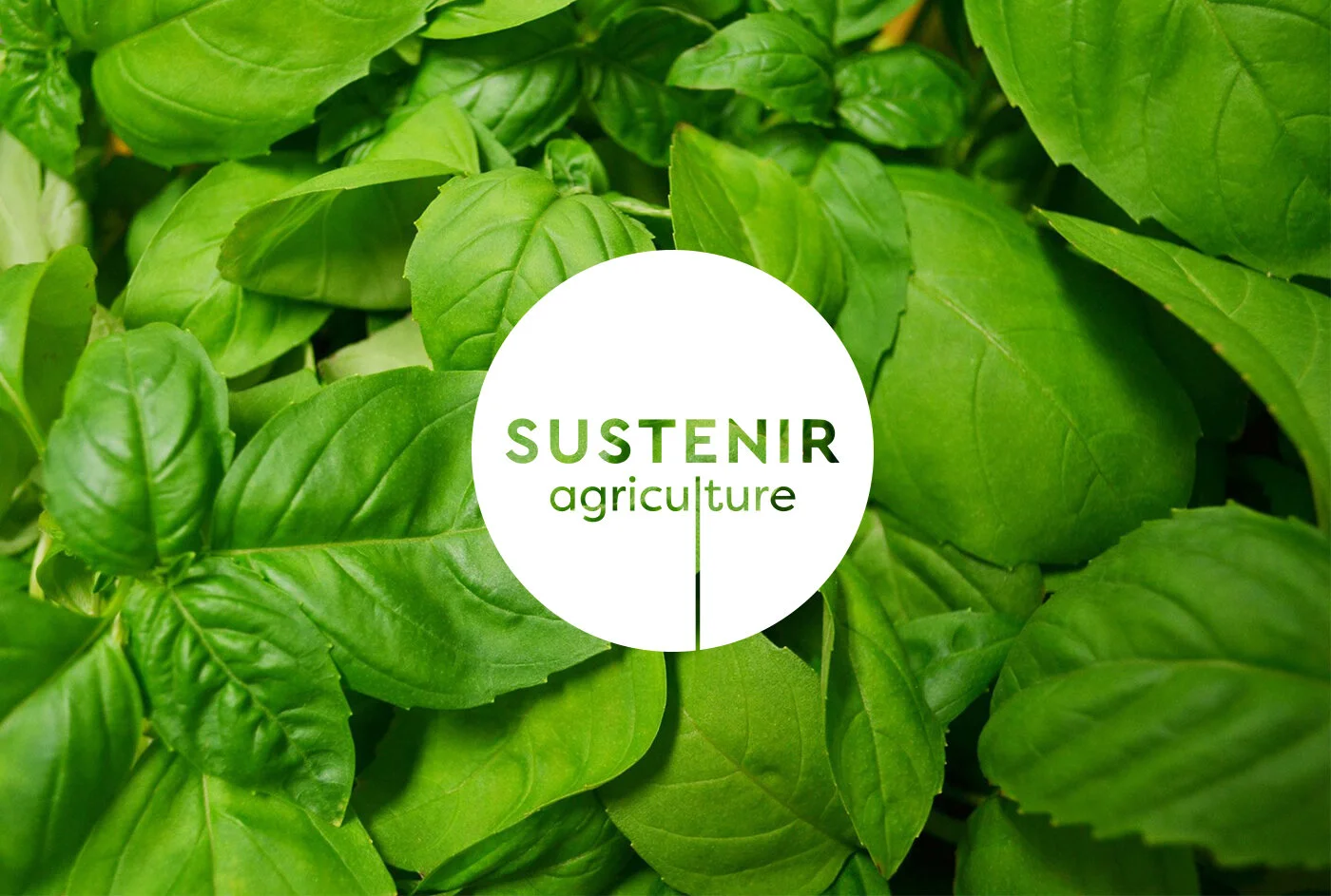 Sustenir Agriculture Singapore Branding - 08.jpg