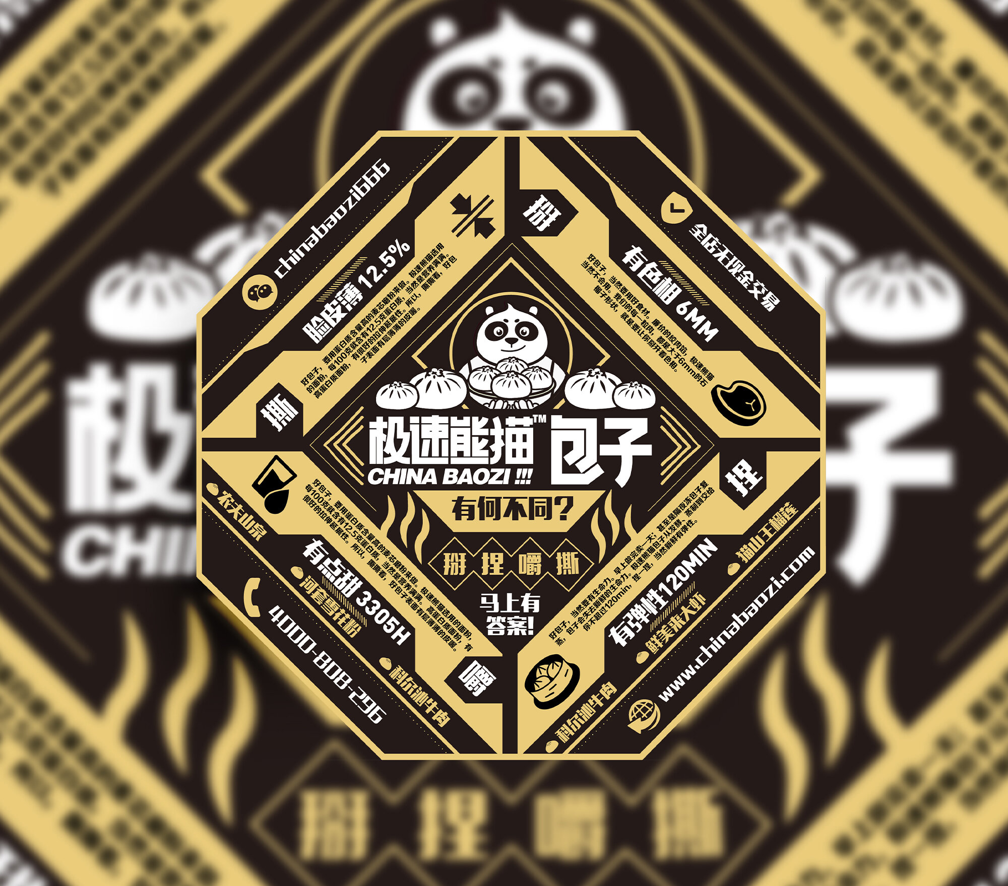 China Baozi Panda Steamed Bun Branding 极速熊猫包子 04.jpg