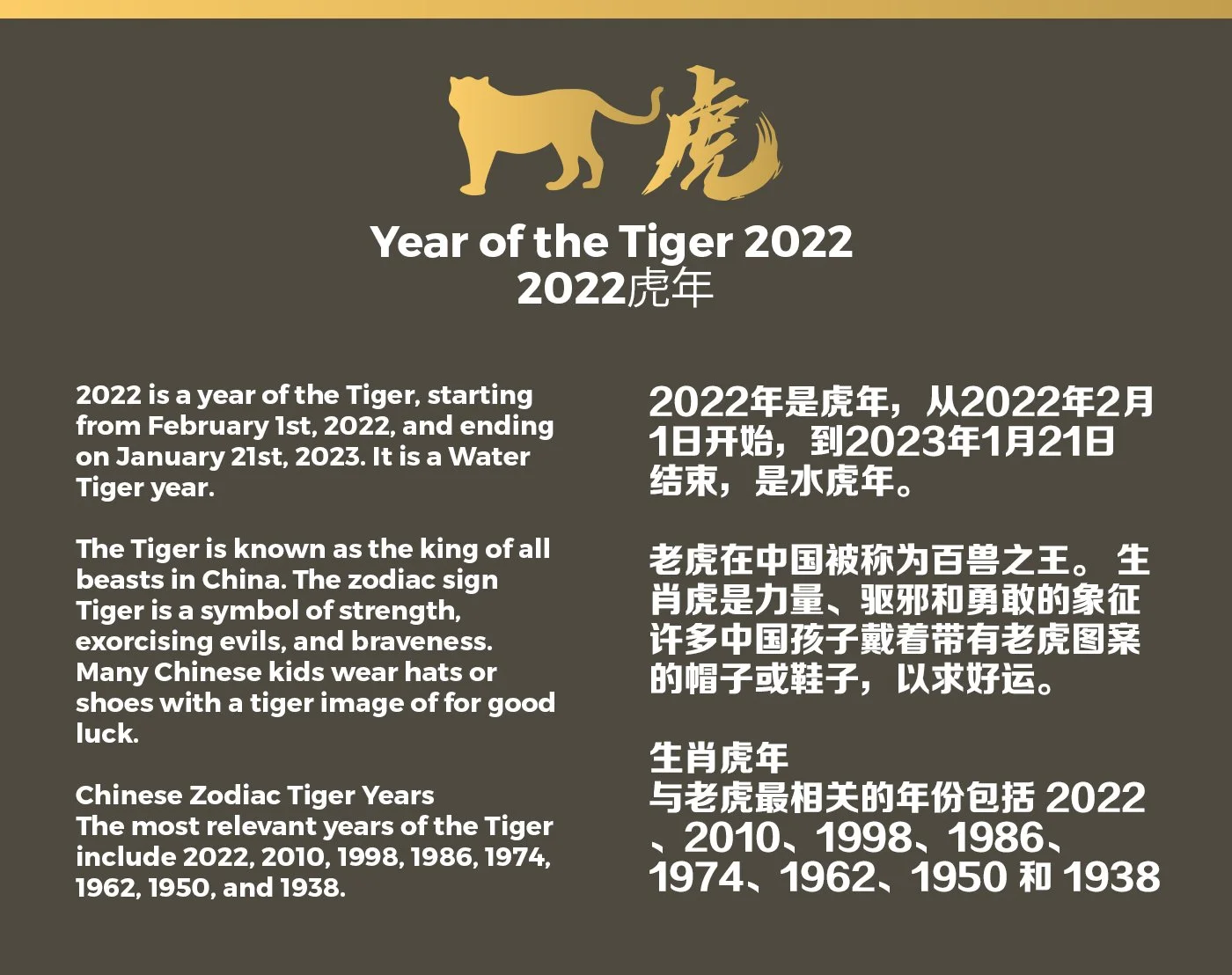 Chinese New Year 2022 Year of the Tiger 农历新年 2022 虎年新年贺卡海报 02.jpg
