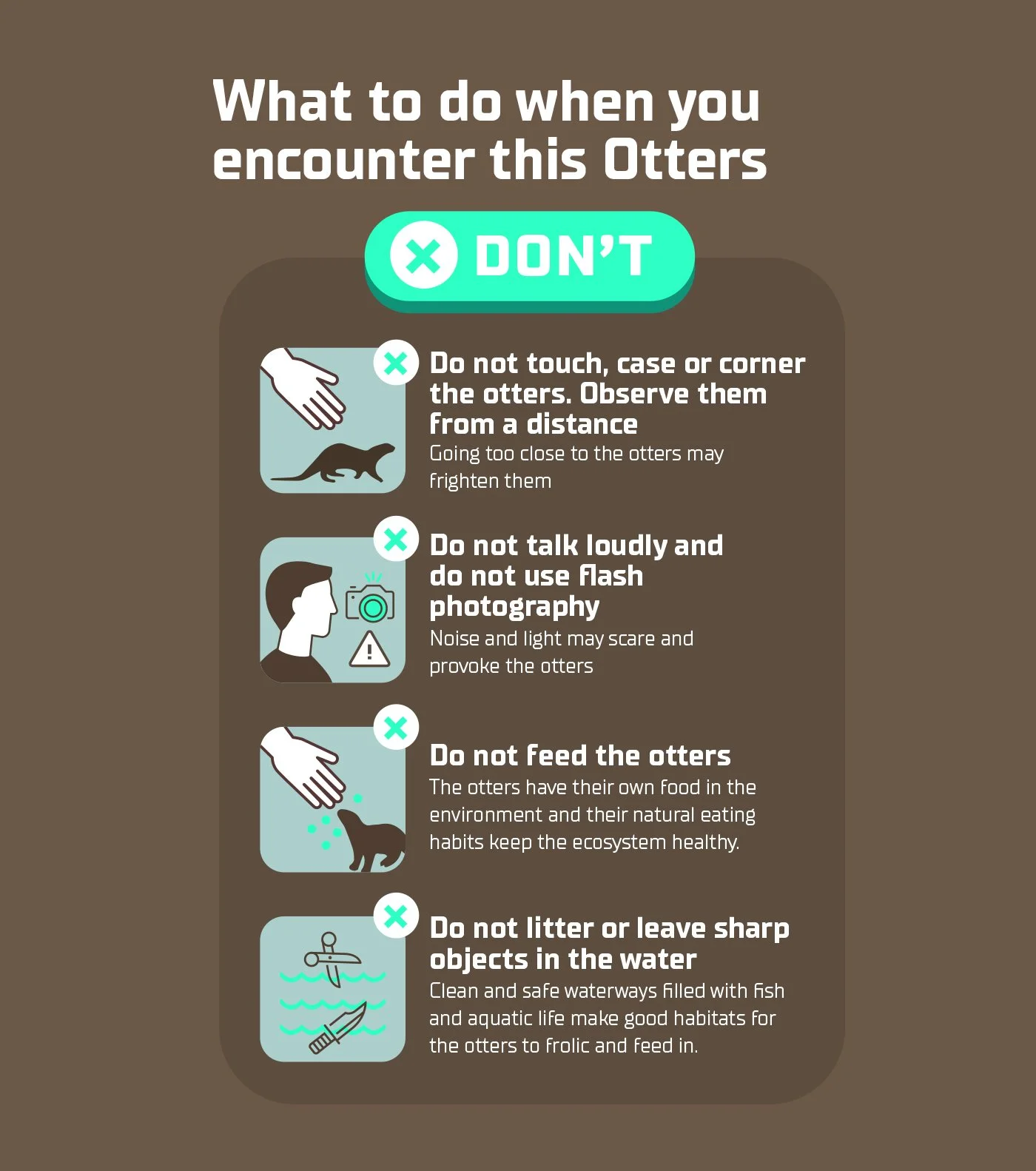Otters in Singapore infographic design - All you need to know about Otters Behance 09.jpg