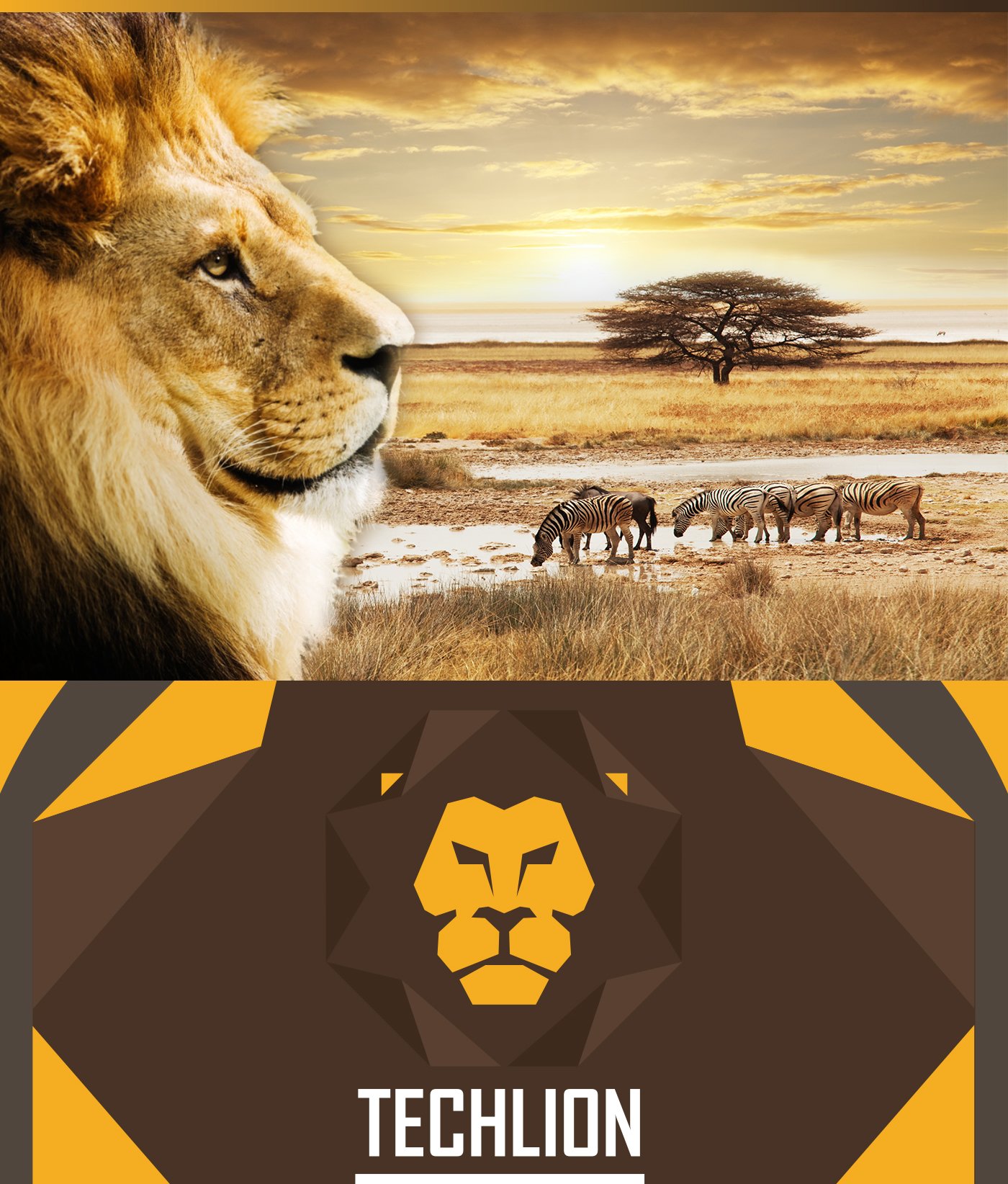 TECHLION BRANDING LOGO DESIGN - 02.jpg