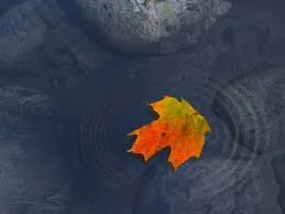 leaf.jpg