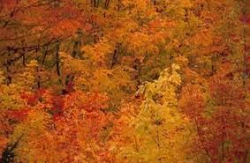 Coming to a town near you... Philly, NY, NJ, NC, CO, Jupiter...