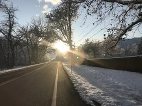 ~a slew of things... with an art-tickle to boot ~