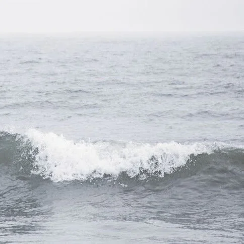 wave.jpg