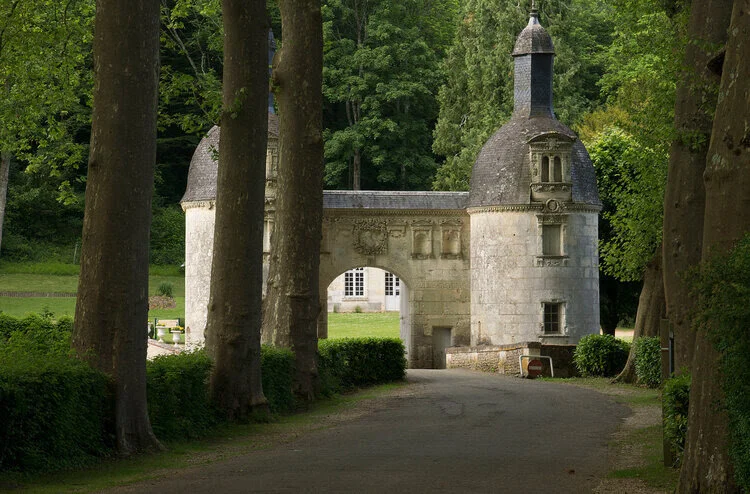 : : High on the Hog- in France and in your own backyard~