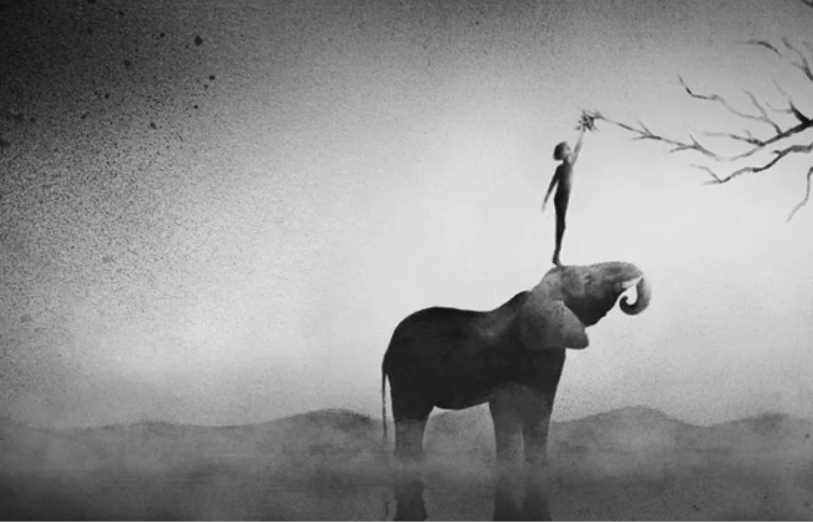 : : standing on the shoulders of elephants