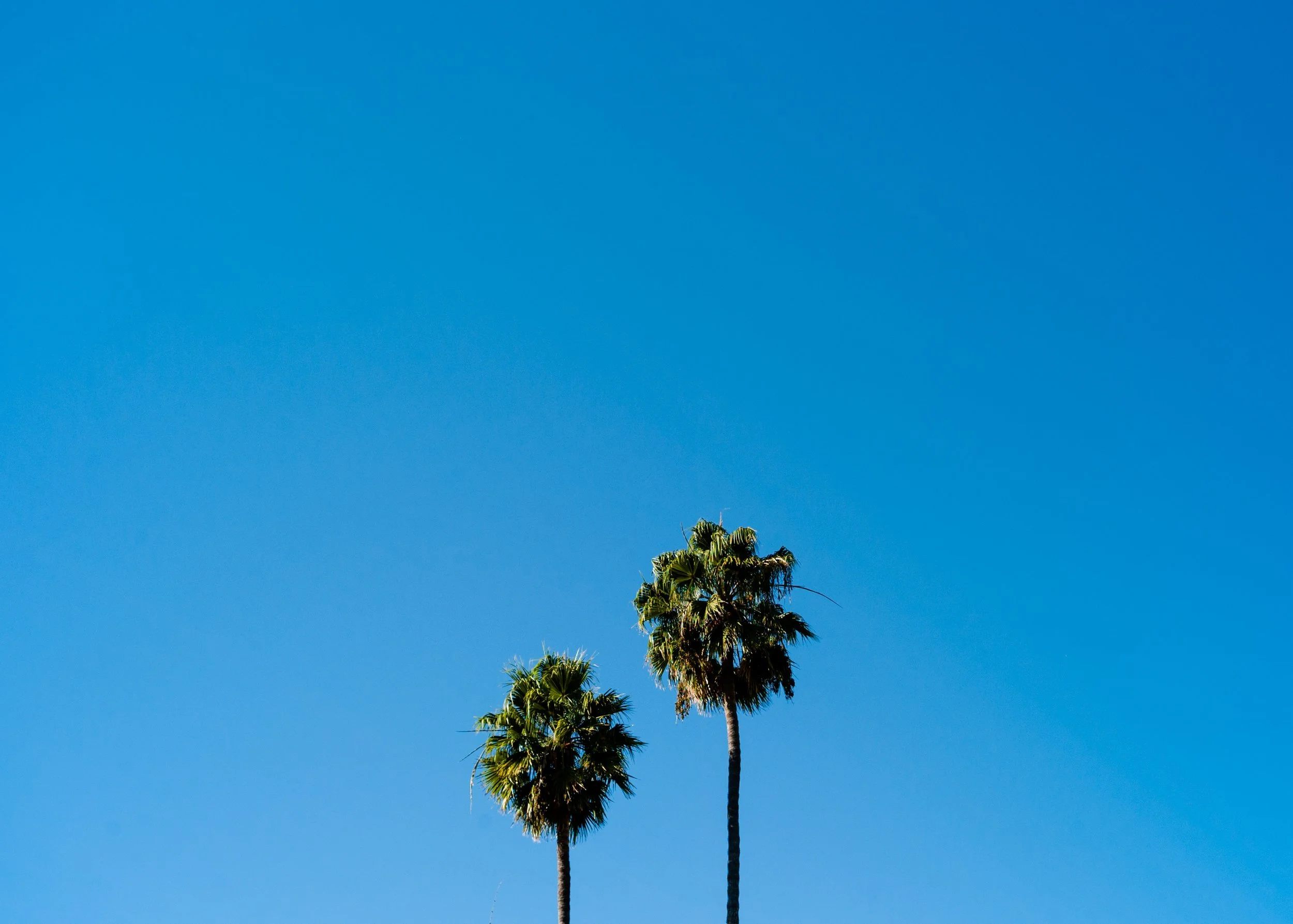 hamish-duncan-559961-unsplash.jpg