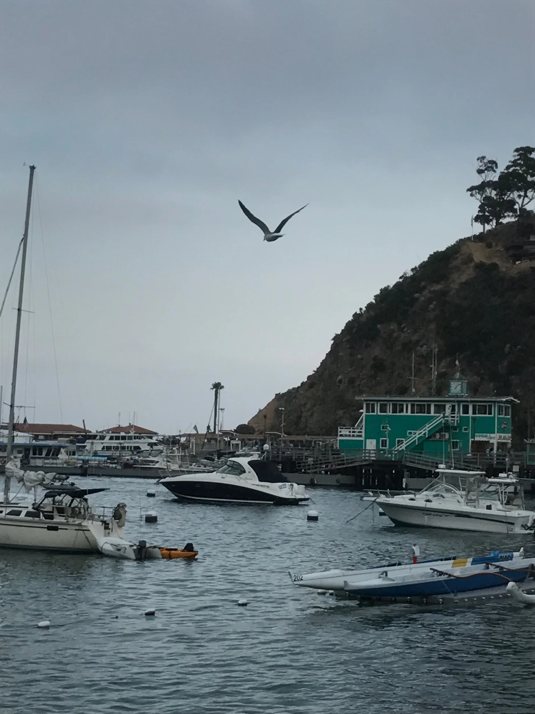 IMG_6706.jpeg