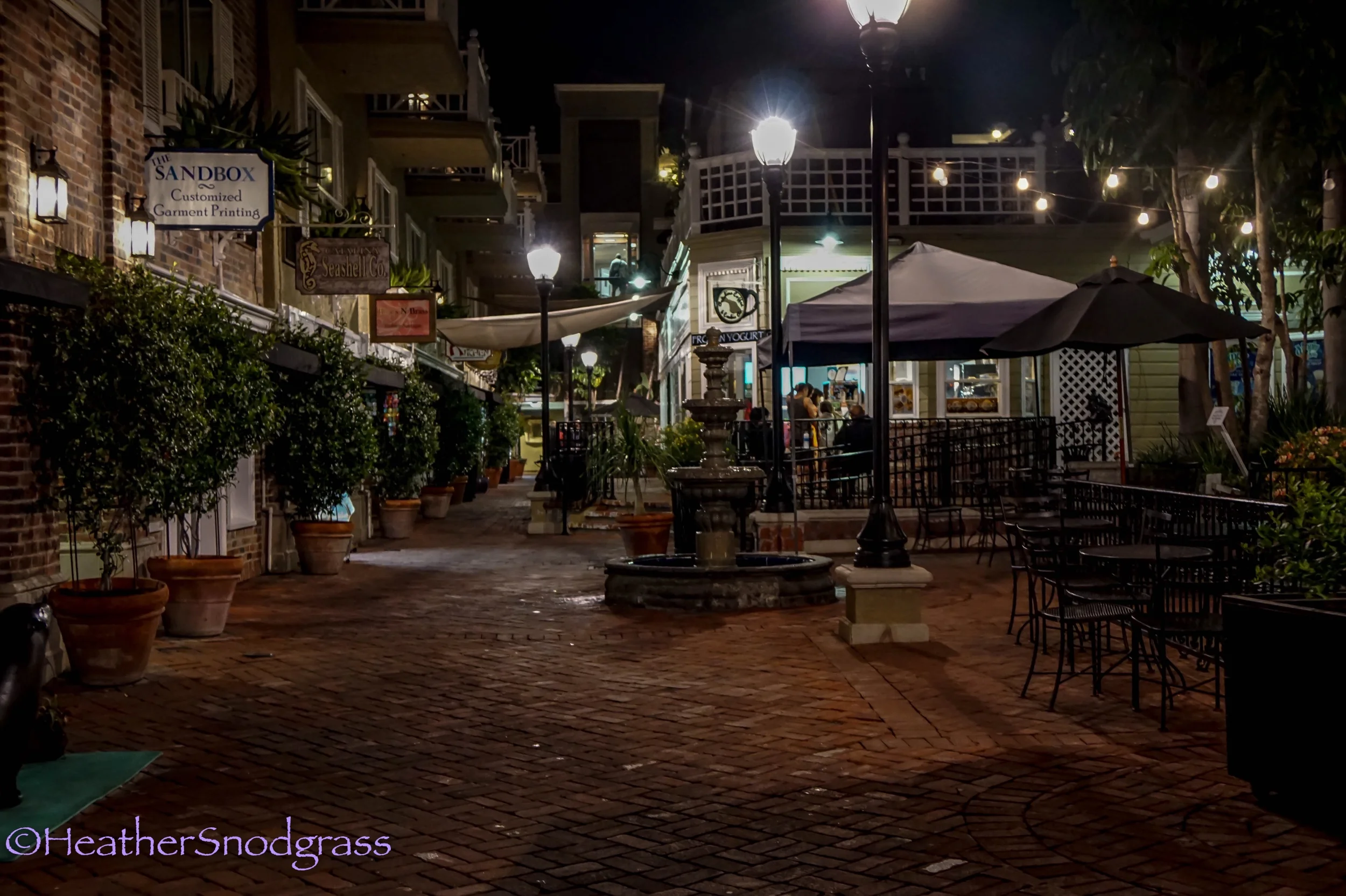 Avalon at Night