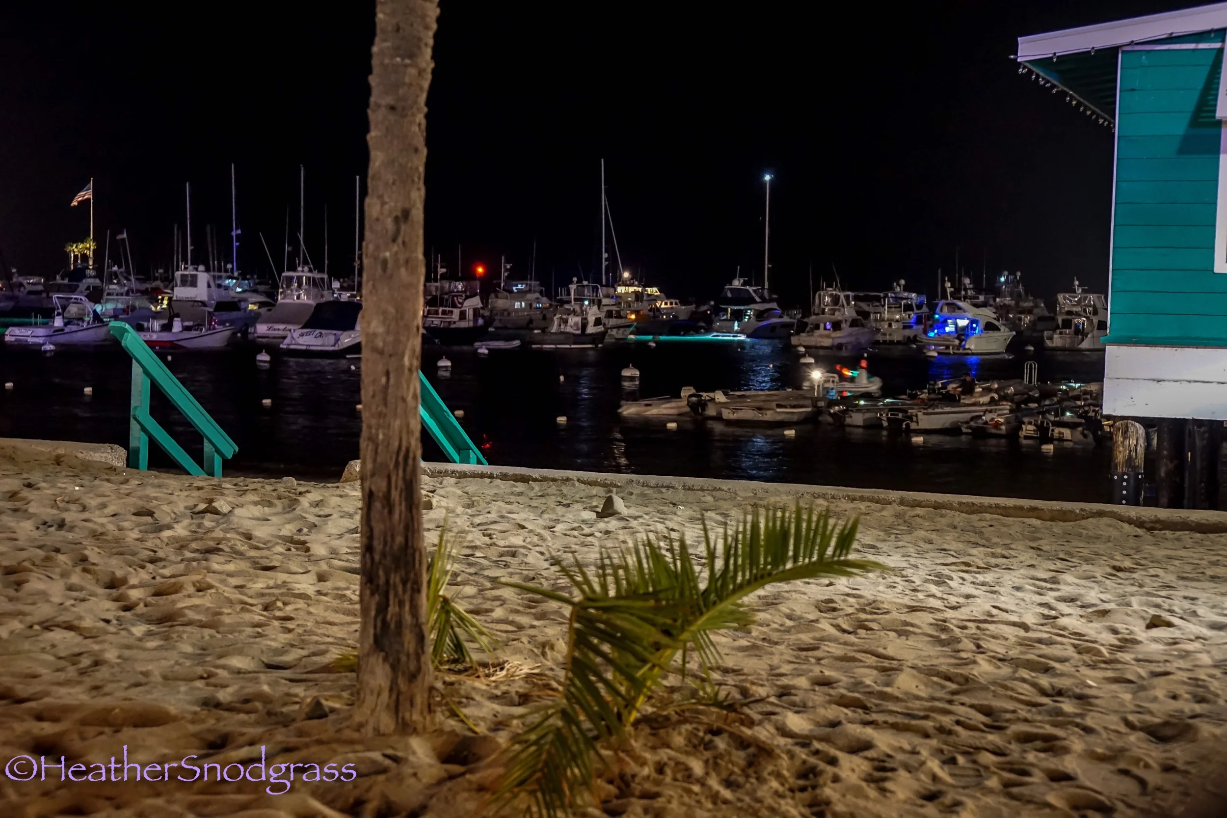 Beach and Marina at Night