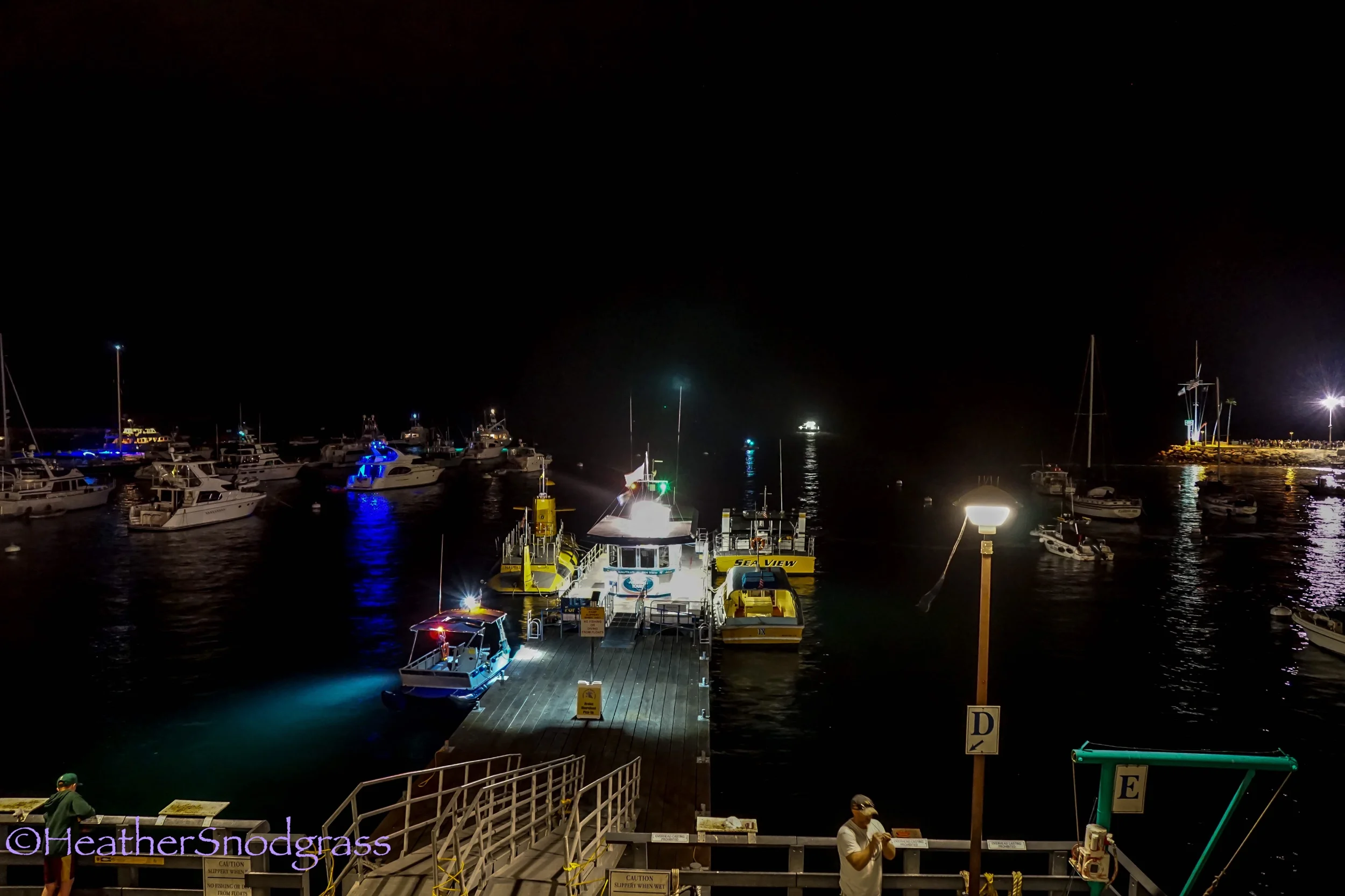 Night Fishing.jpeg