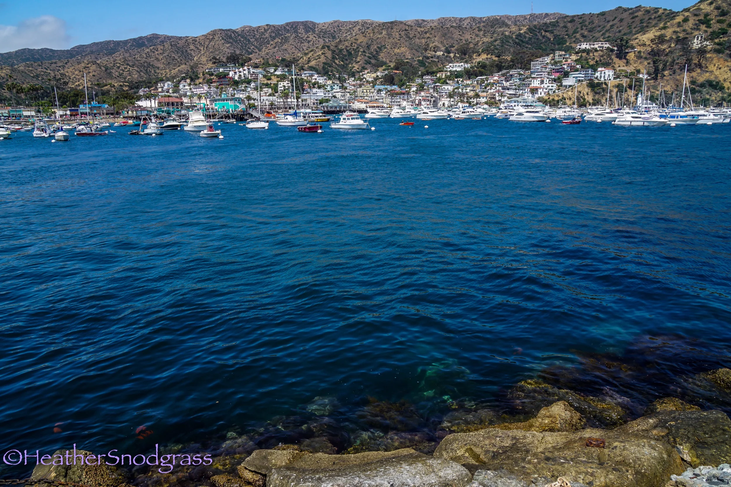 Catalina Across the Water.jpeg