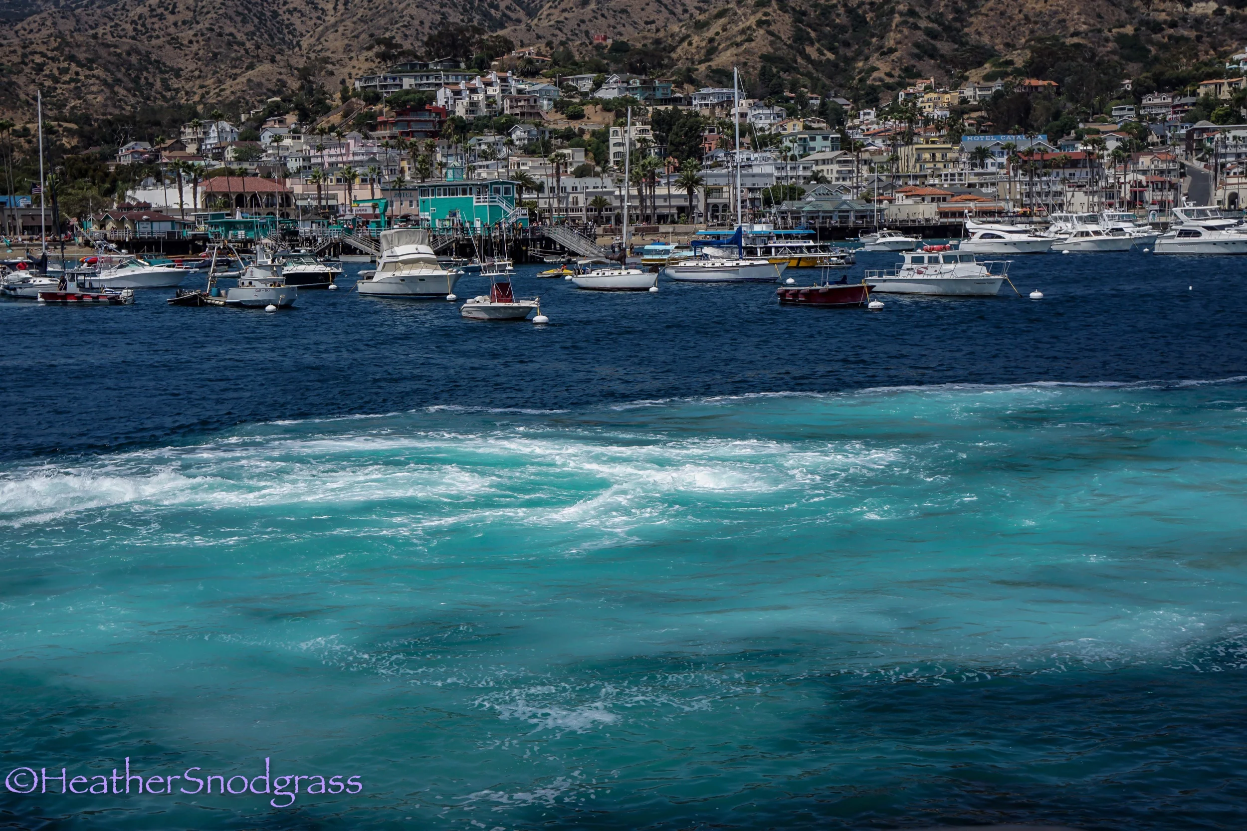 Catalina Water.jpeg