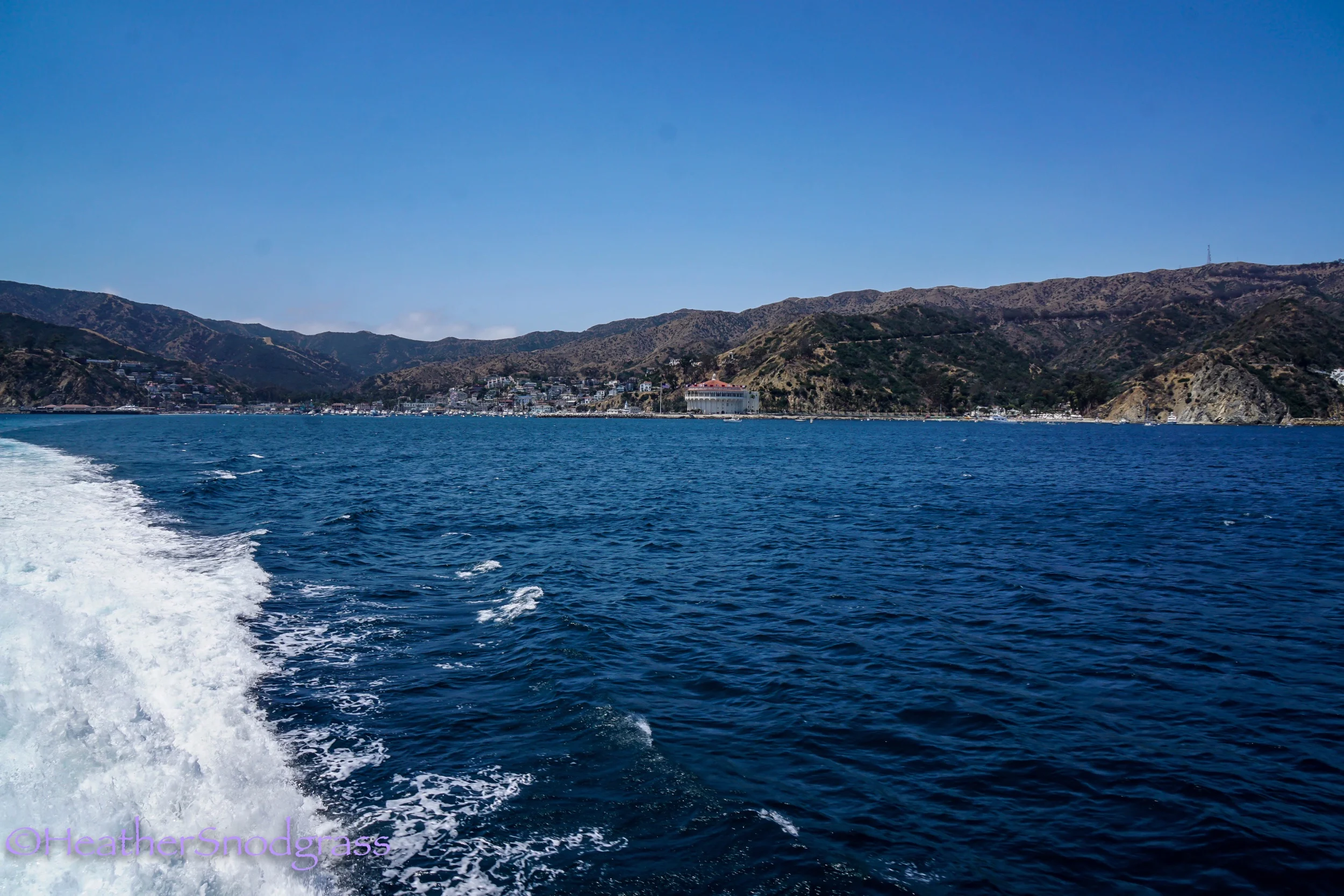 TTFN Catalina.jpeg