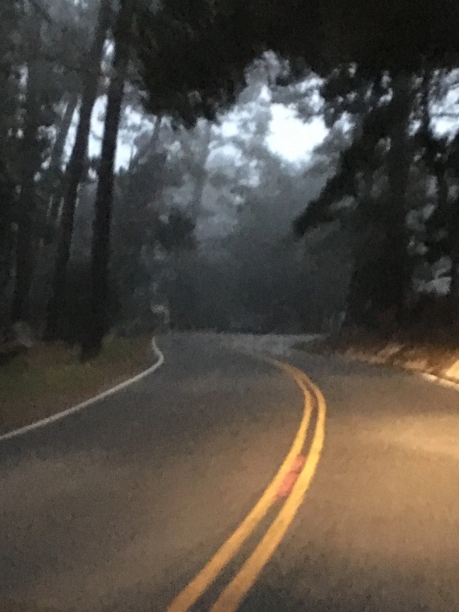 Foggy Morning Makes for Grainy Pictures