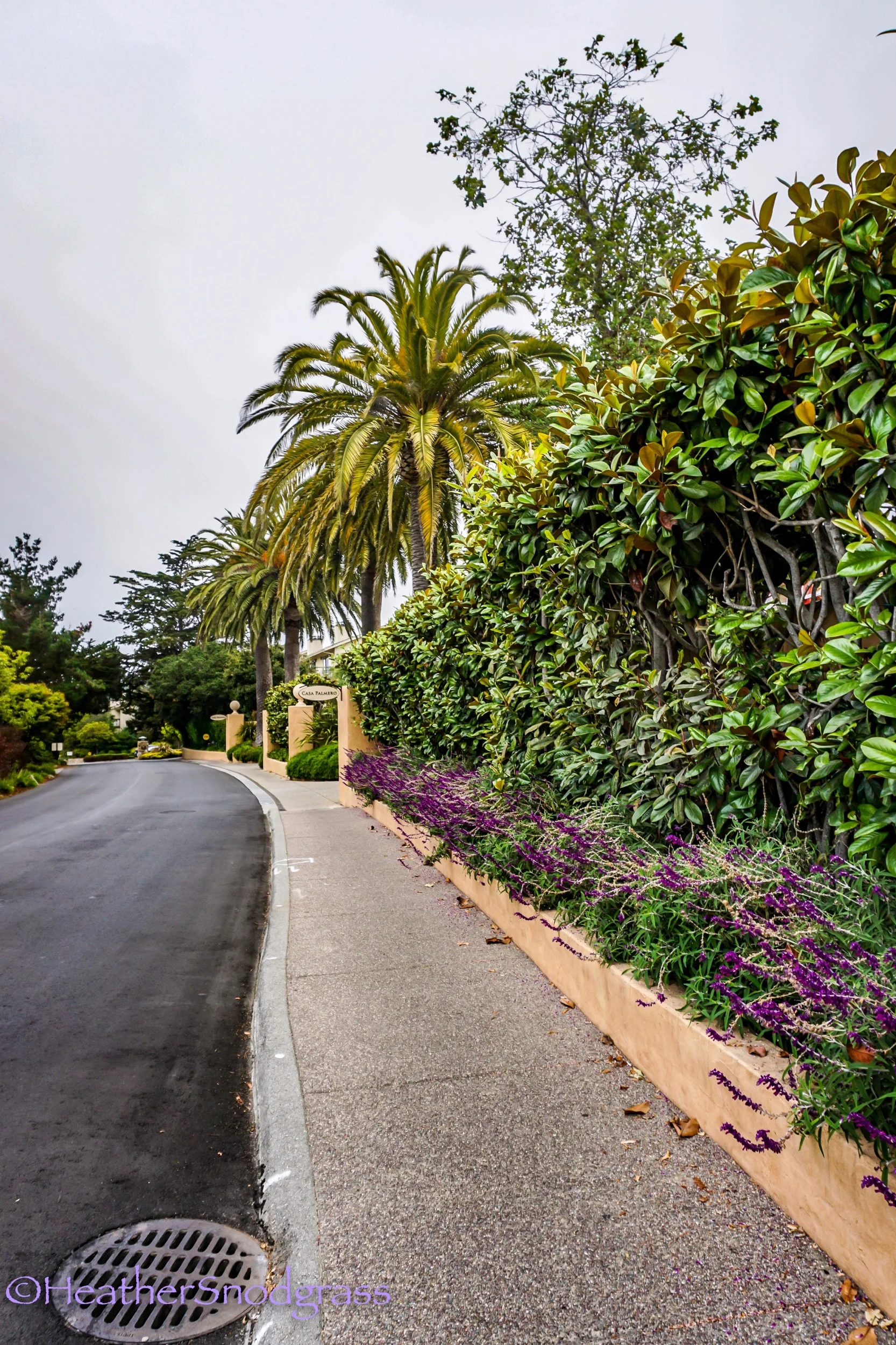 Pebble Beach Community