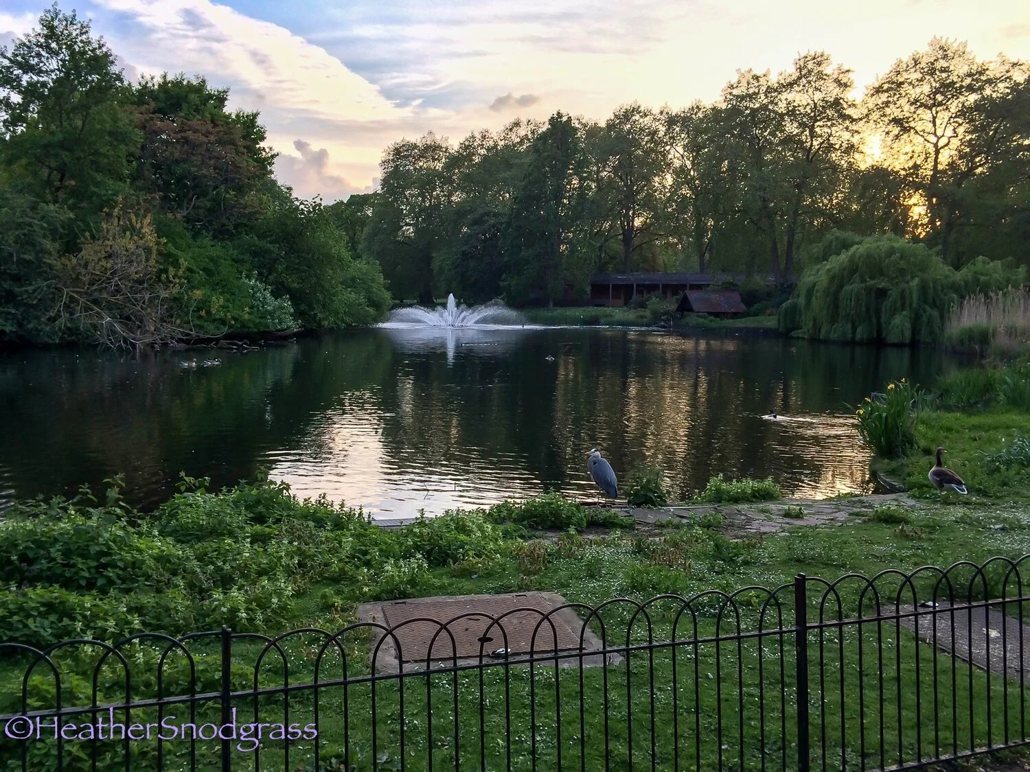 Beautiful parks and gardens are found throughout London