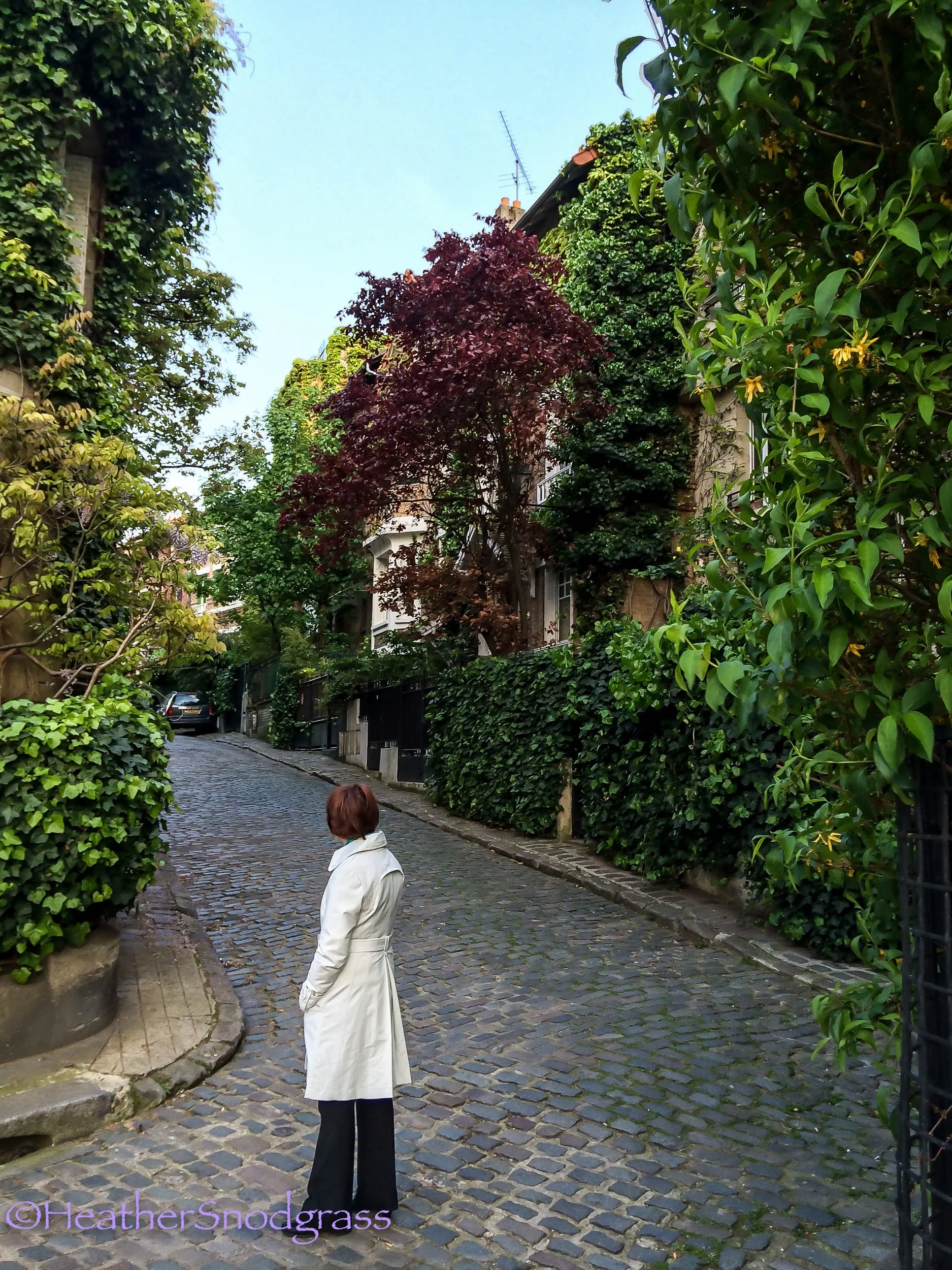 IMG_3925Lightroom Bay.jpeg