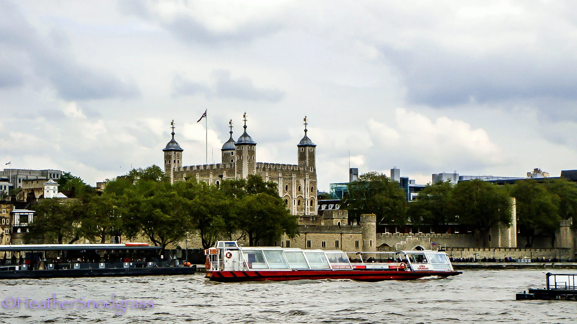 DSC01711Lightroom Bay.jpeg