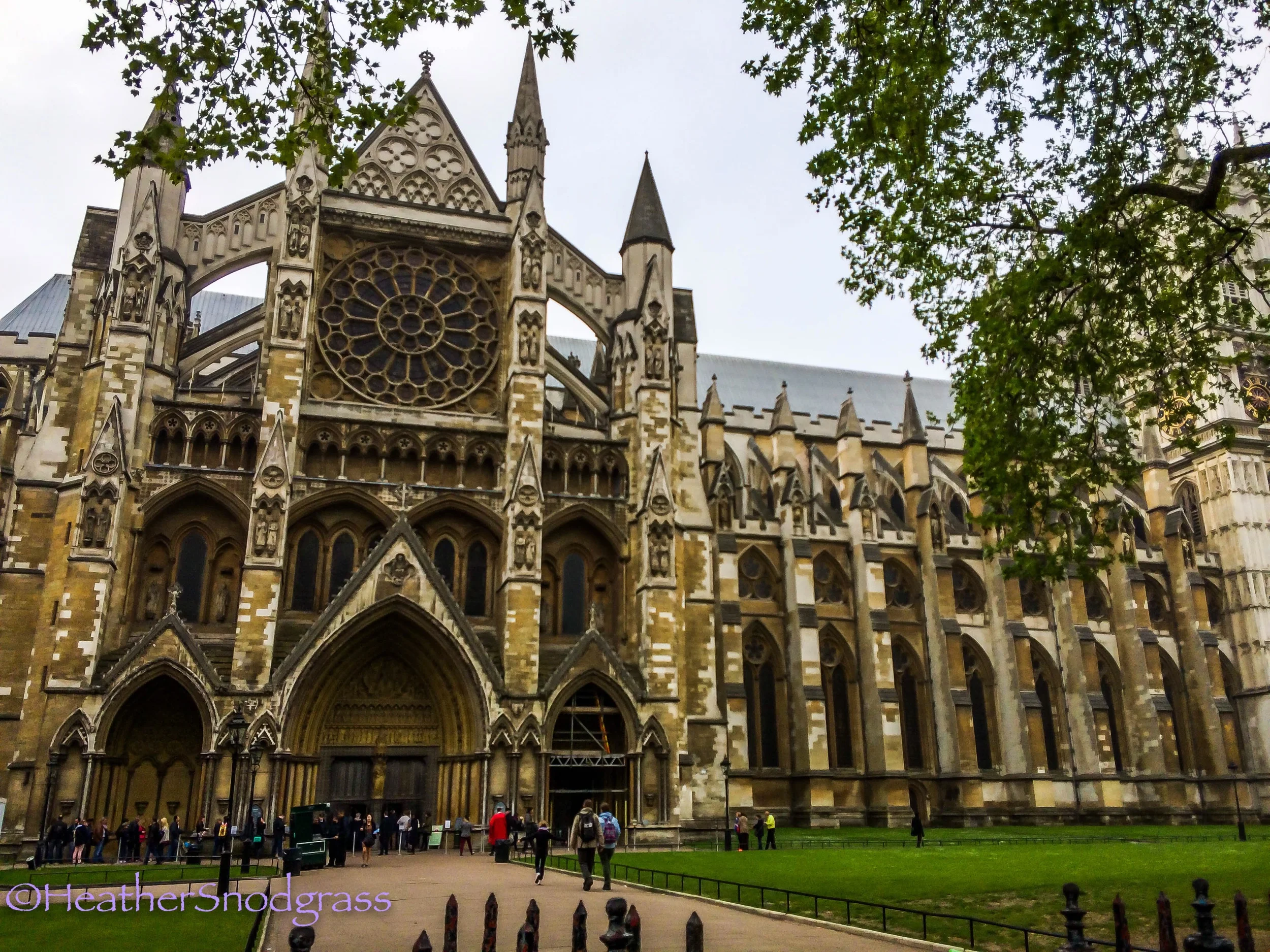 IMG_3479Lightroom Bay.jpeg