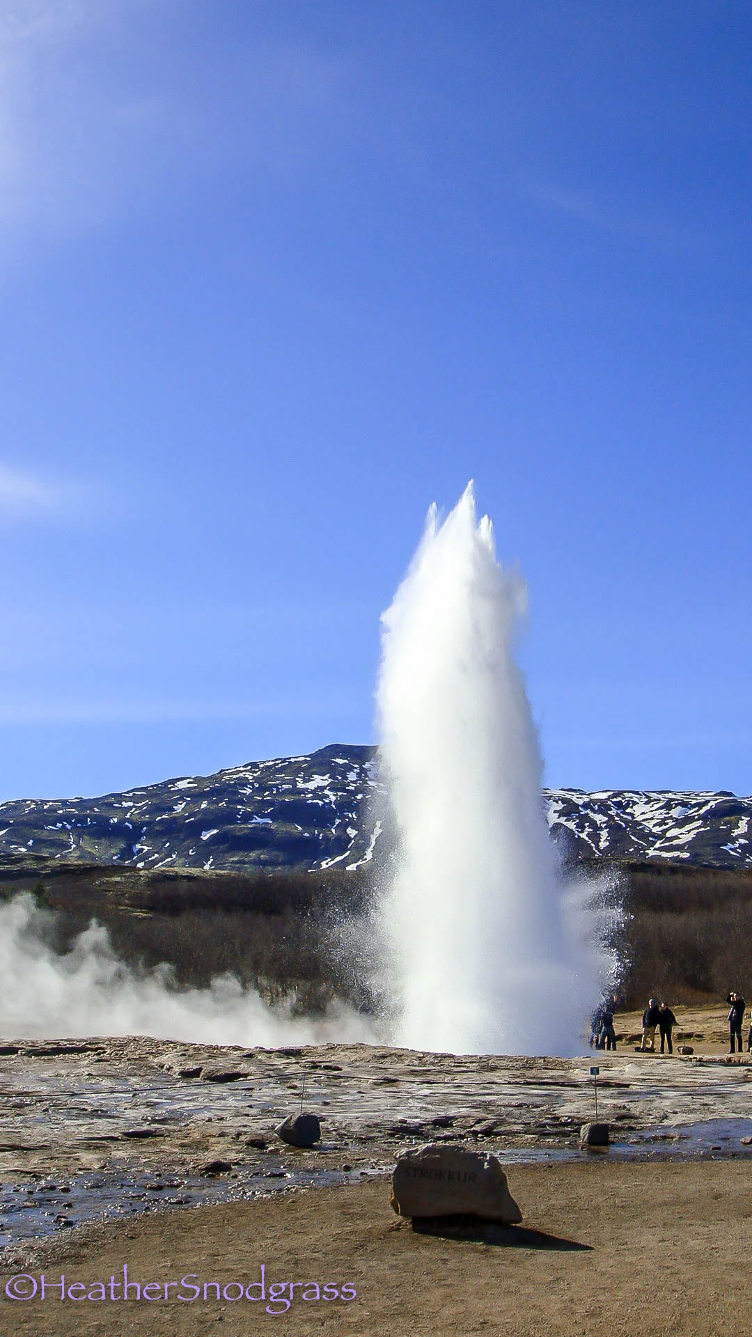 DSC01571Lightroom Bay.jpeg