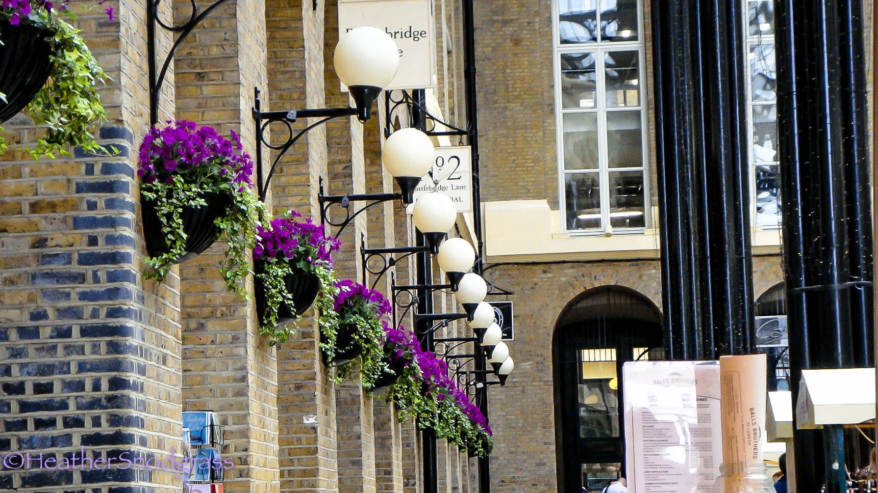 DSC01707Lightroom Bay.jpeg