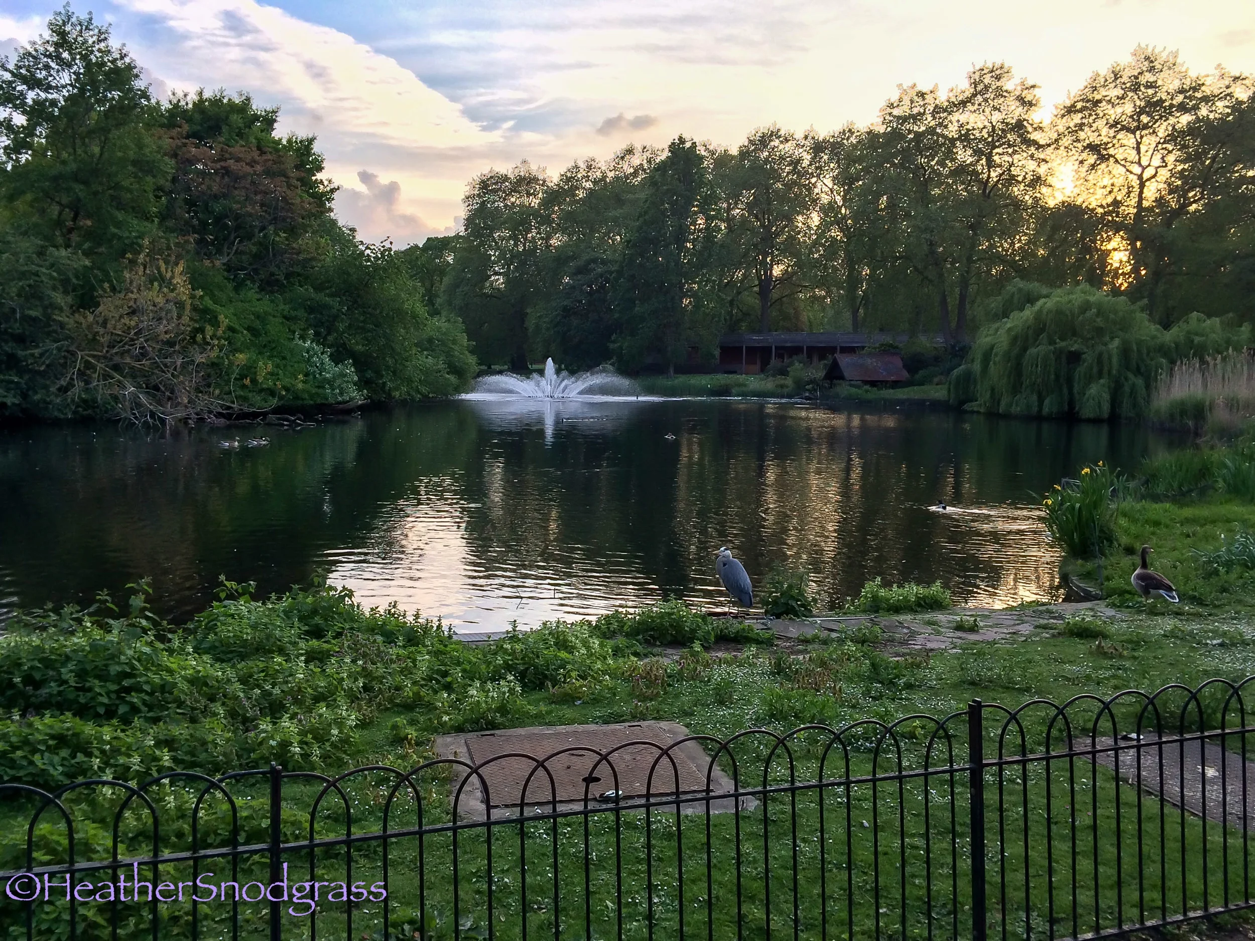 IMG_3391Lightroom Bay.jpeg