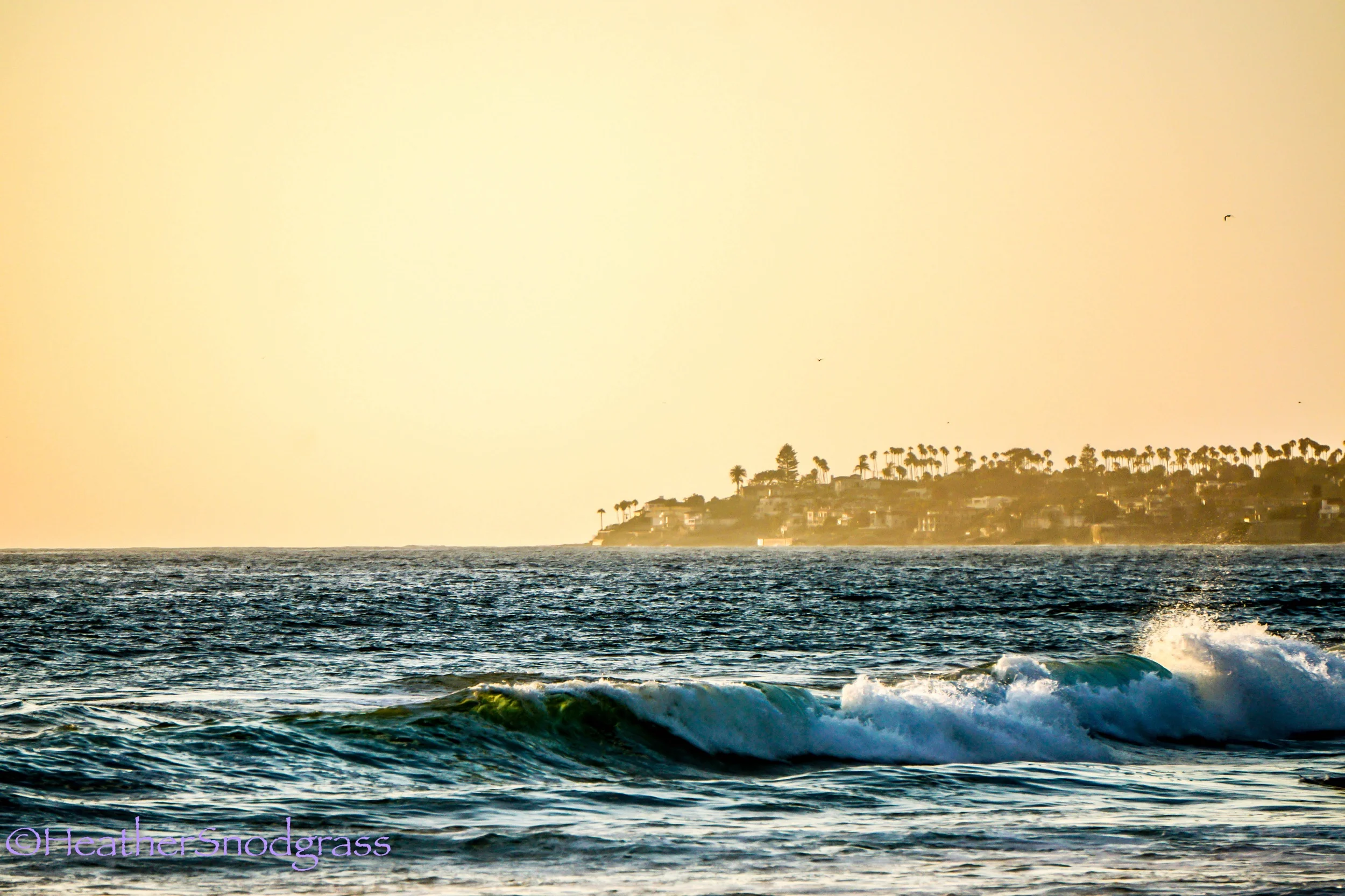 PCH (449 of 542)Lightroom Bay.jpeg