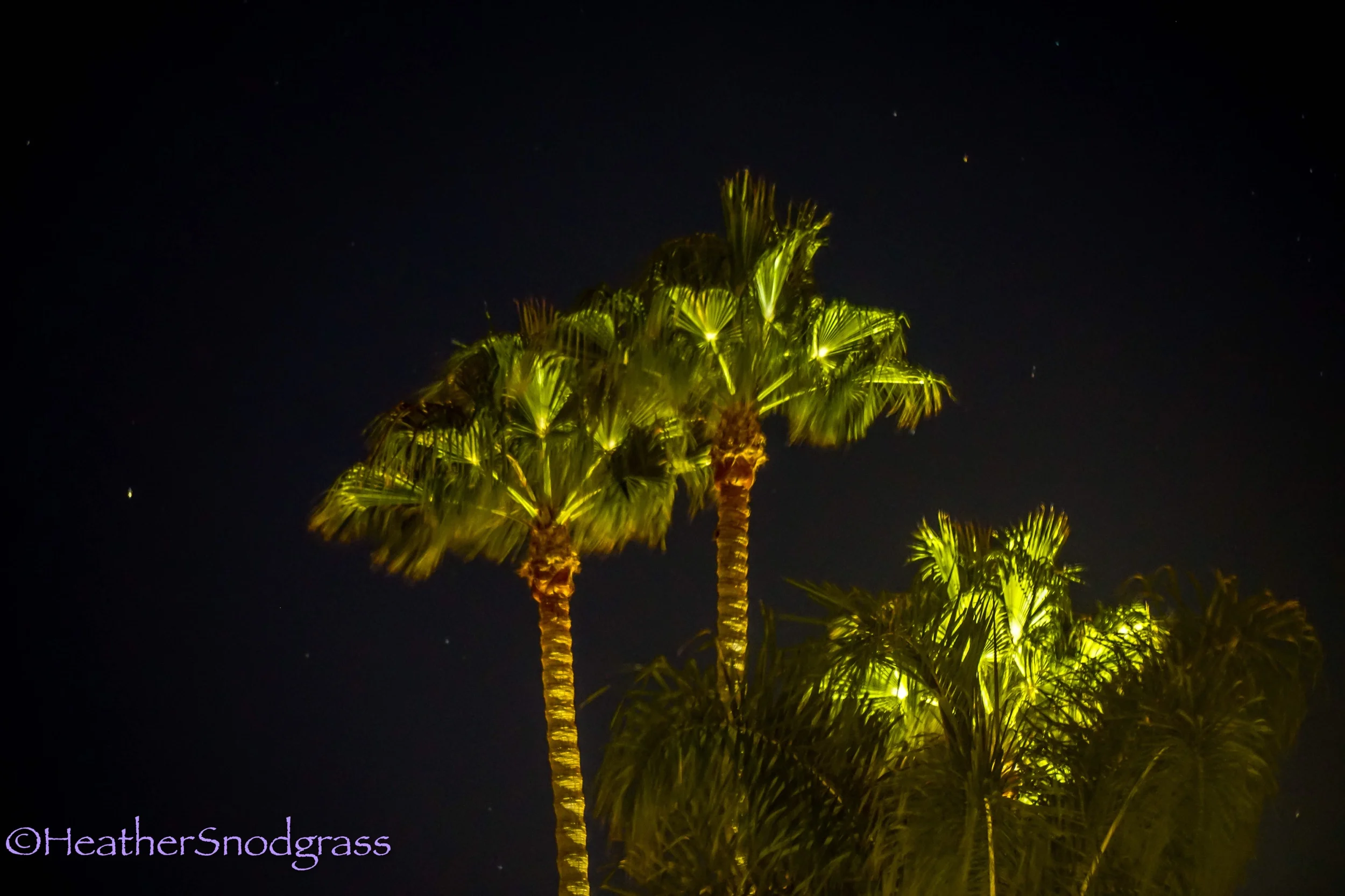 PCH (516 of 542)Lightroom Bay.jpeg