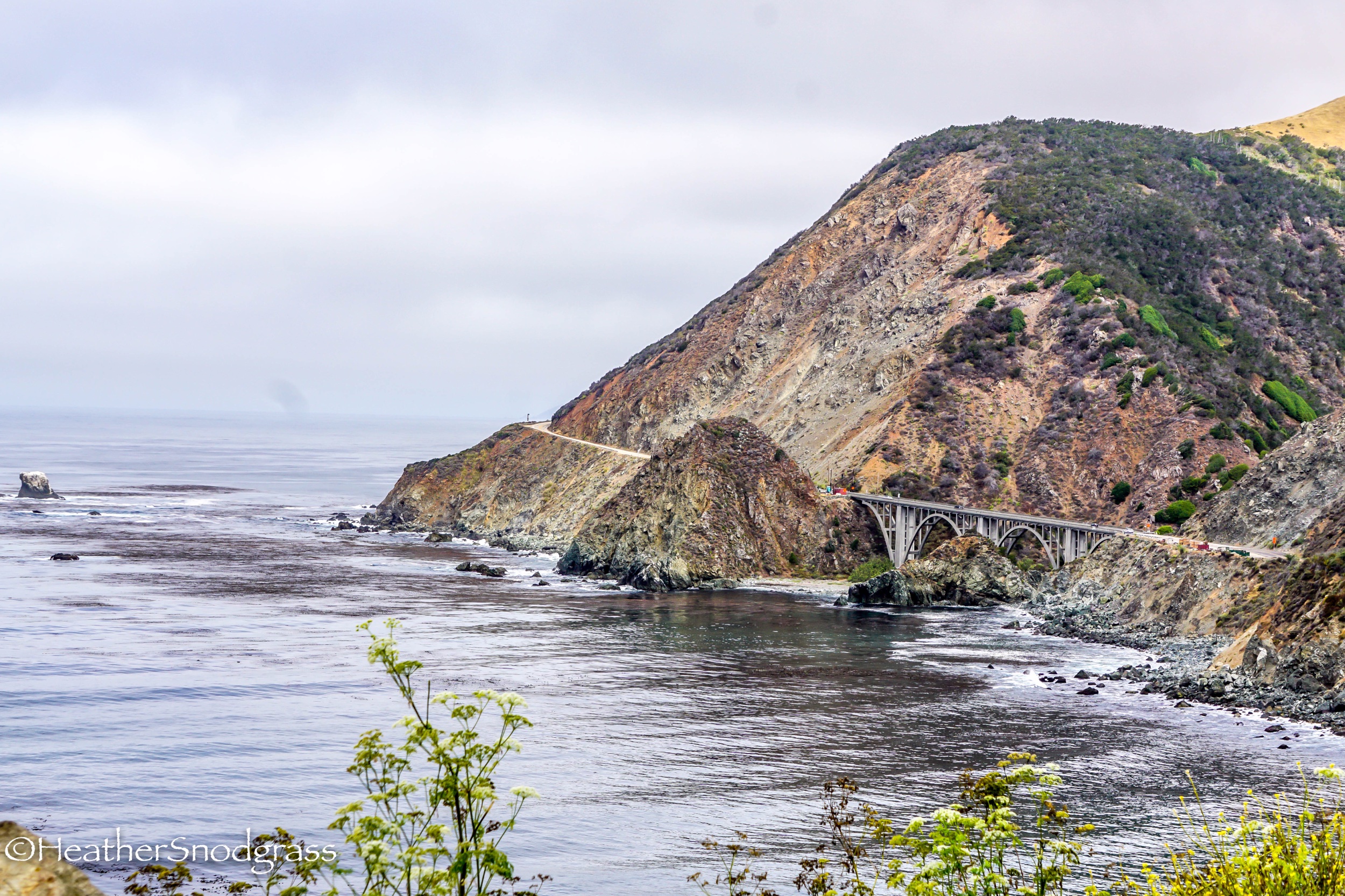 PCH (265 of 542)Lightroom Bay.jpeg