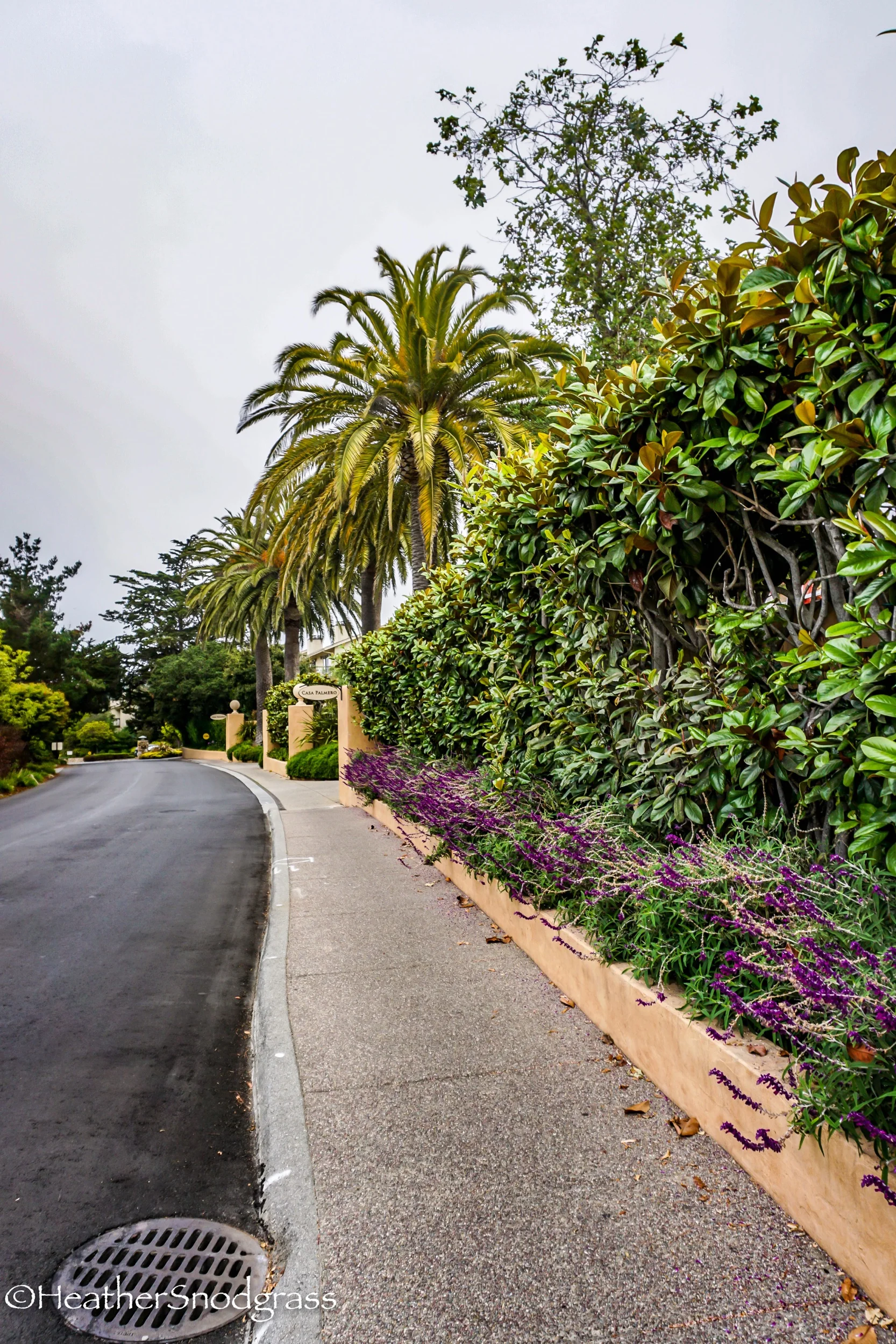 PCH (66 of 542)Lightroom Bay.jpeg