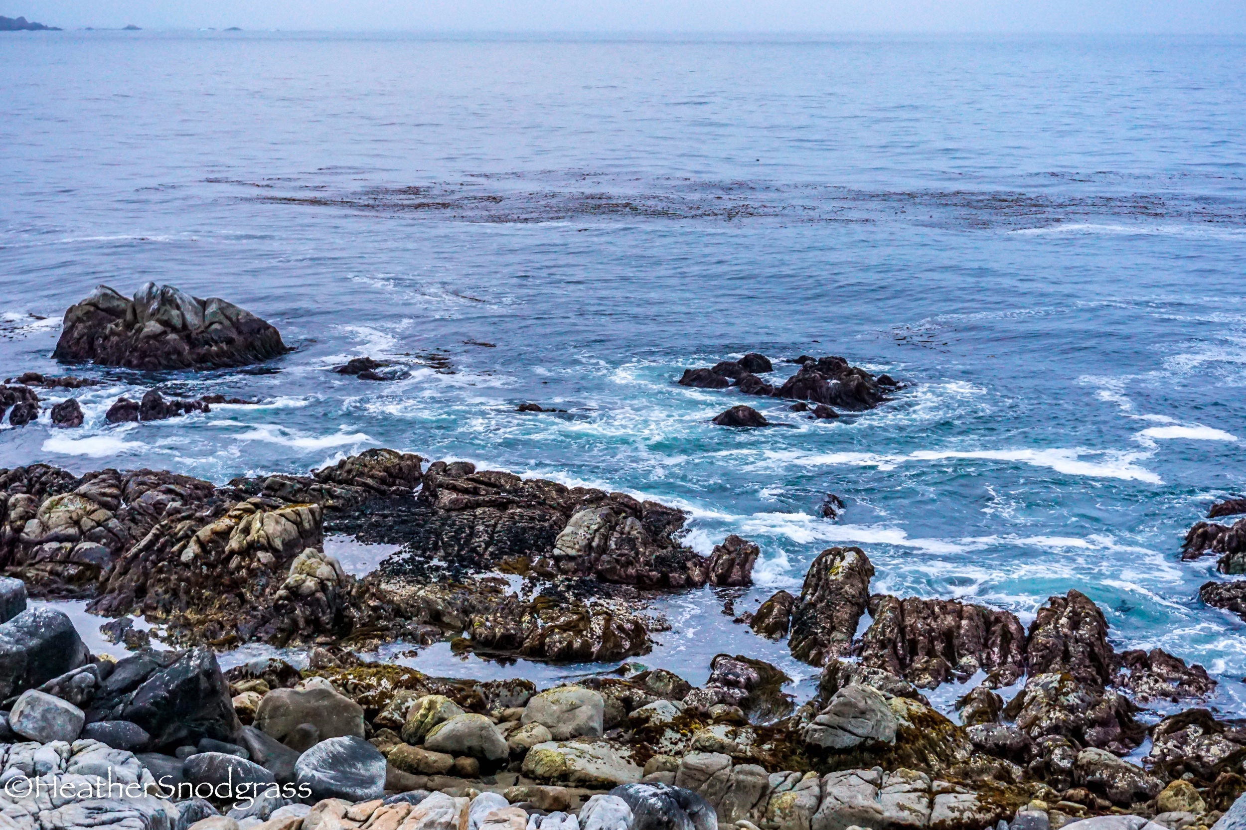 PCH (43 of 542)Lightroom Bay.jpeg