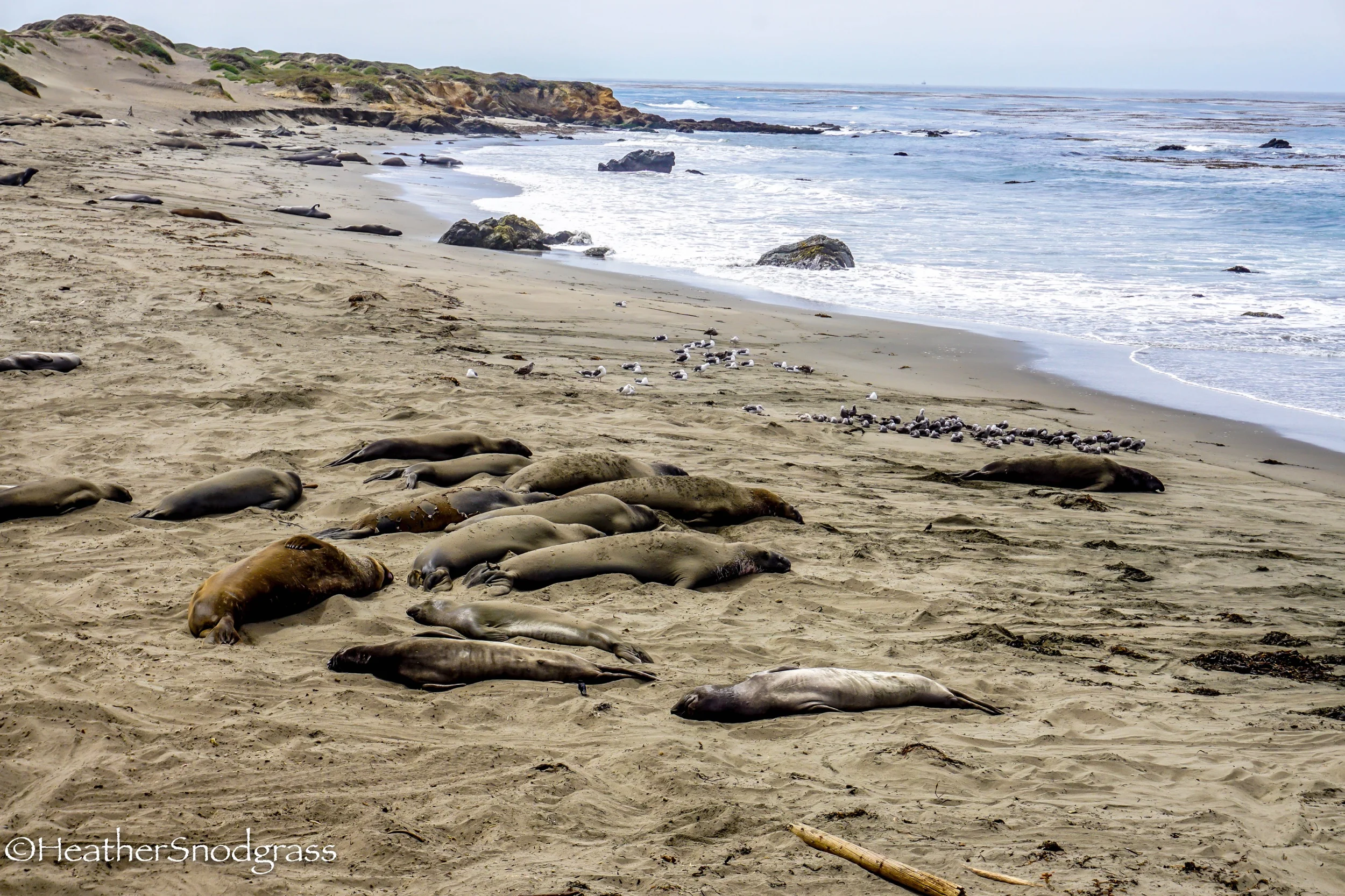 PCH (355 of 542)Lightroom Bay.jpeg
