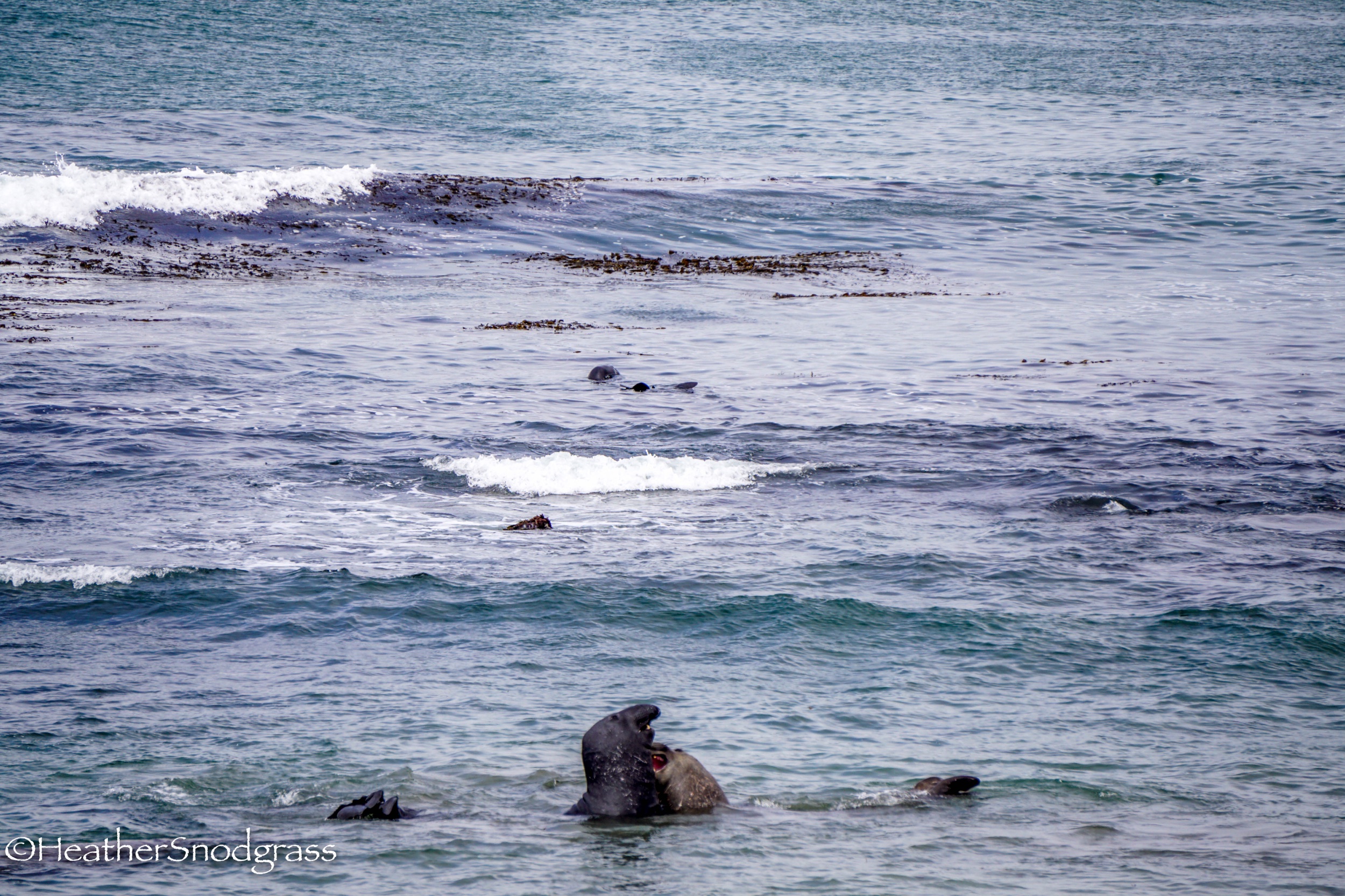 PCH (332 of 542)Lightroom Bay.jpeg