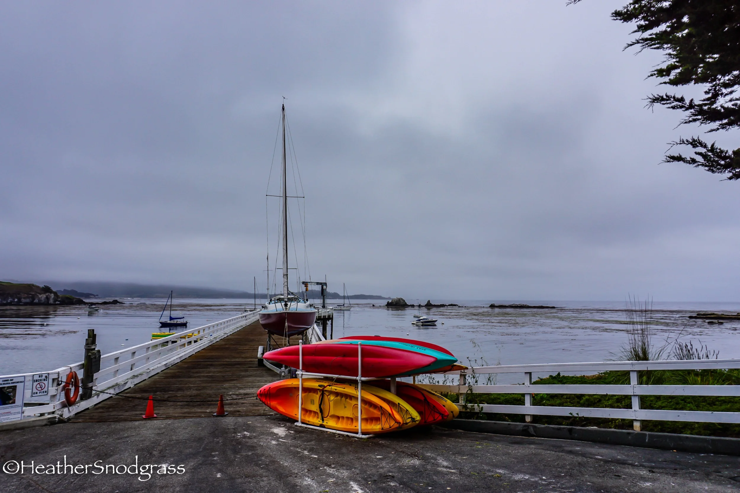 PCH (57 of 542)Lightroom Bay.jpeg
