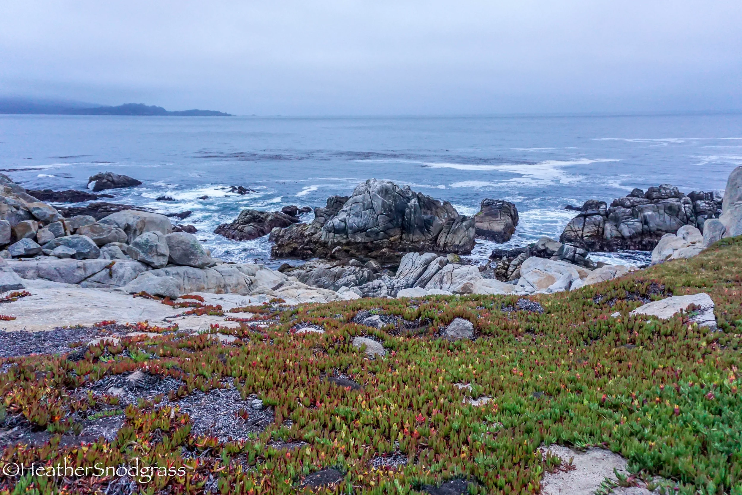 PCH (17 of 542)Lightroom Bay.jpeg