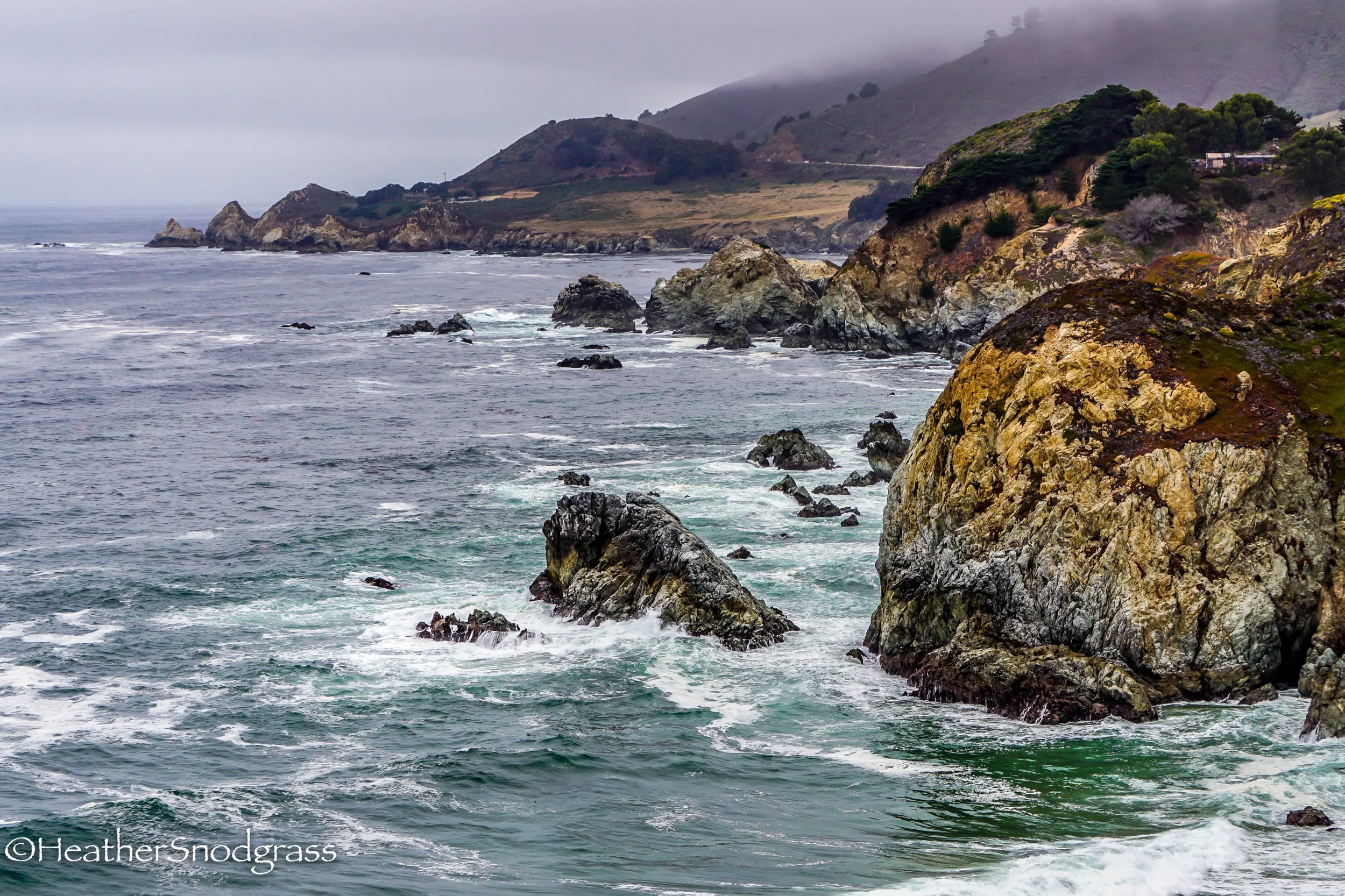 PCH (169 of 542)Lightroom Bay.jpeg