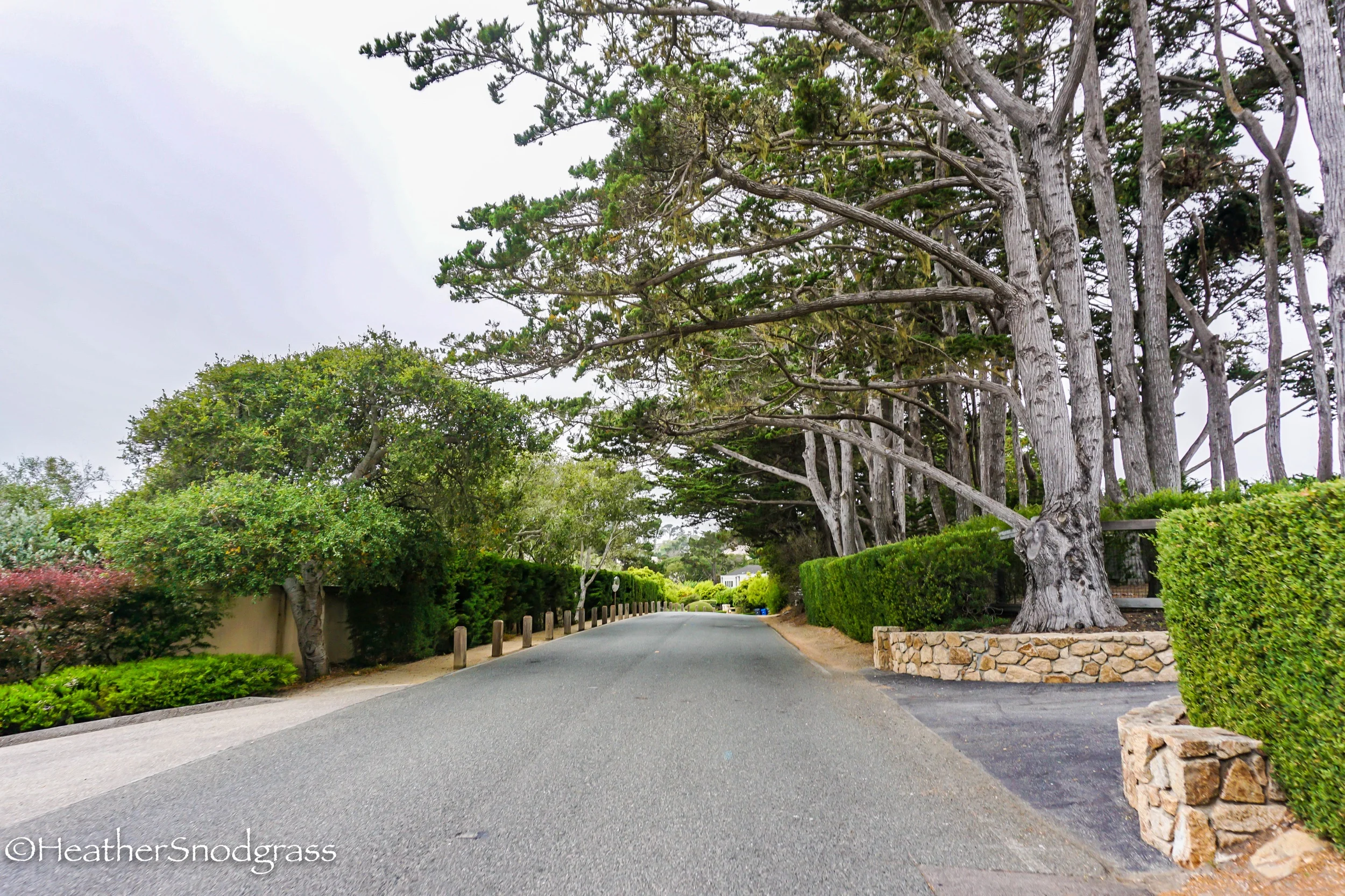 PCH (65 of 542)Lightroom Bay.jpeg