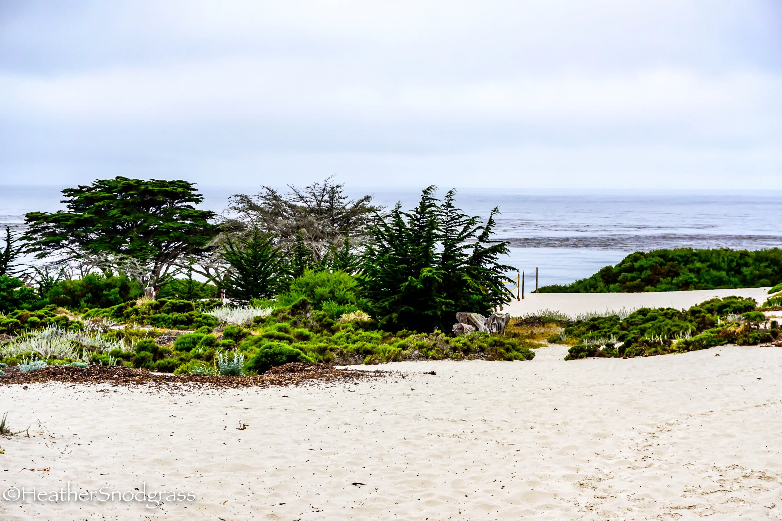 PCH (69 of 542)Lightroom Bay.jpeg