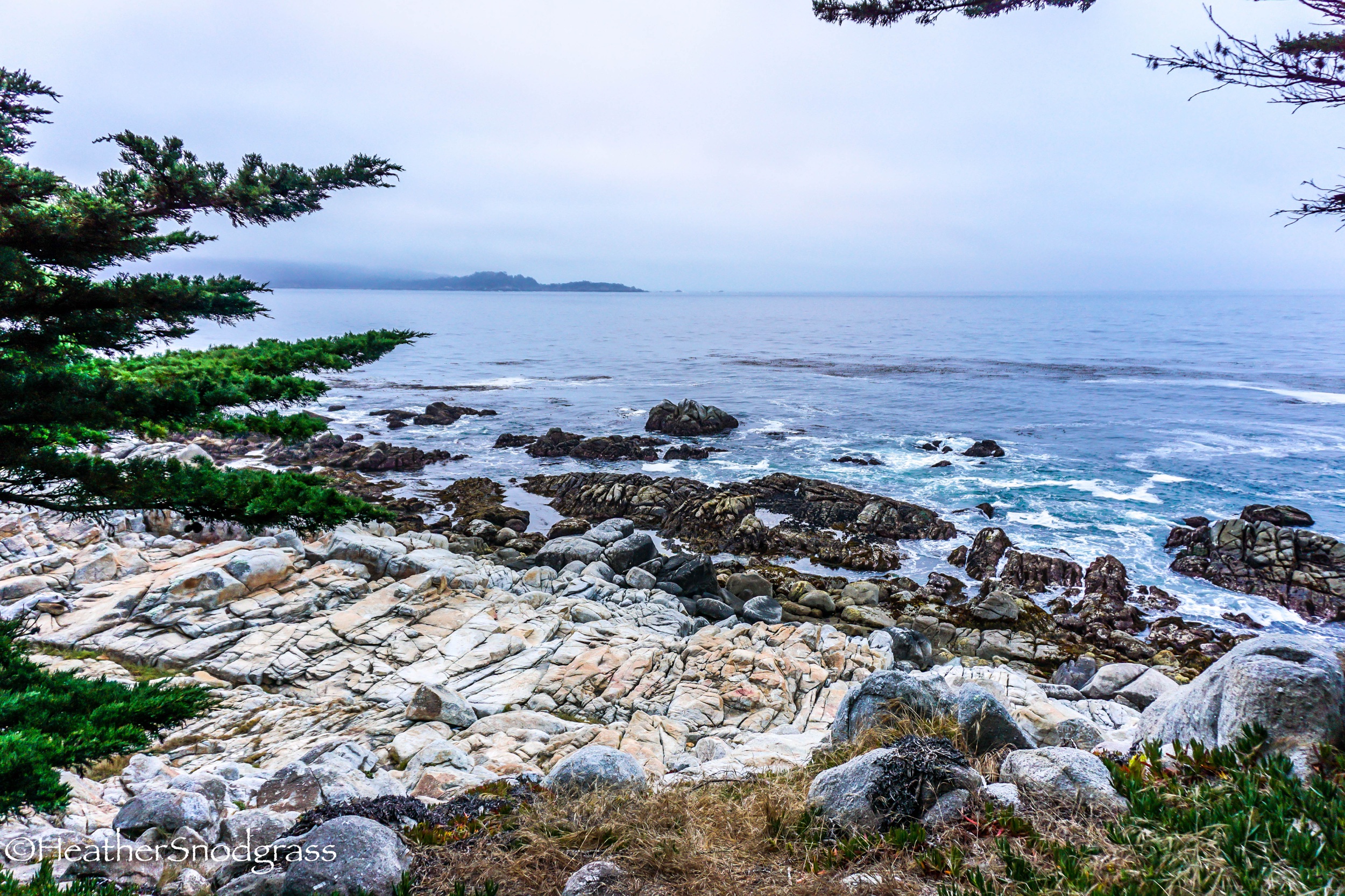 PCH (42 of 542)Lightroom Bay.jpeg