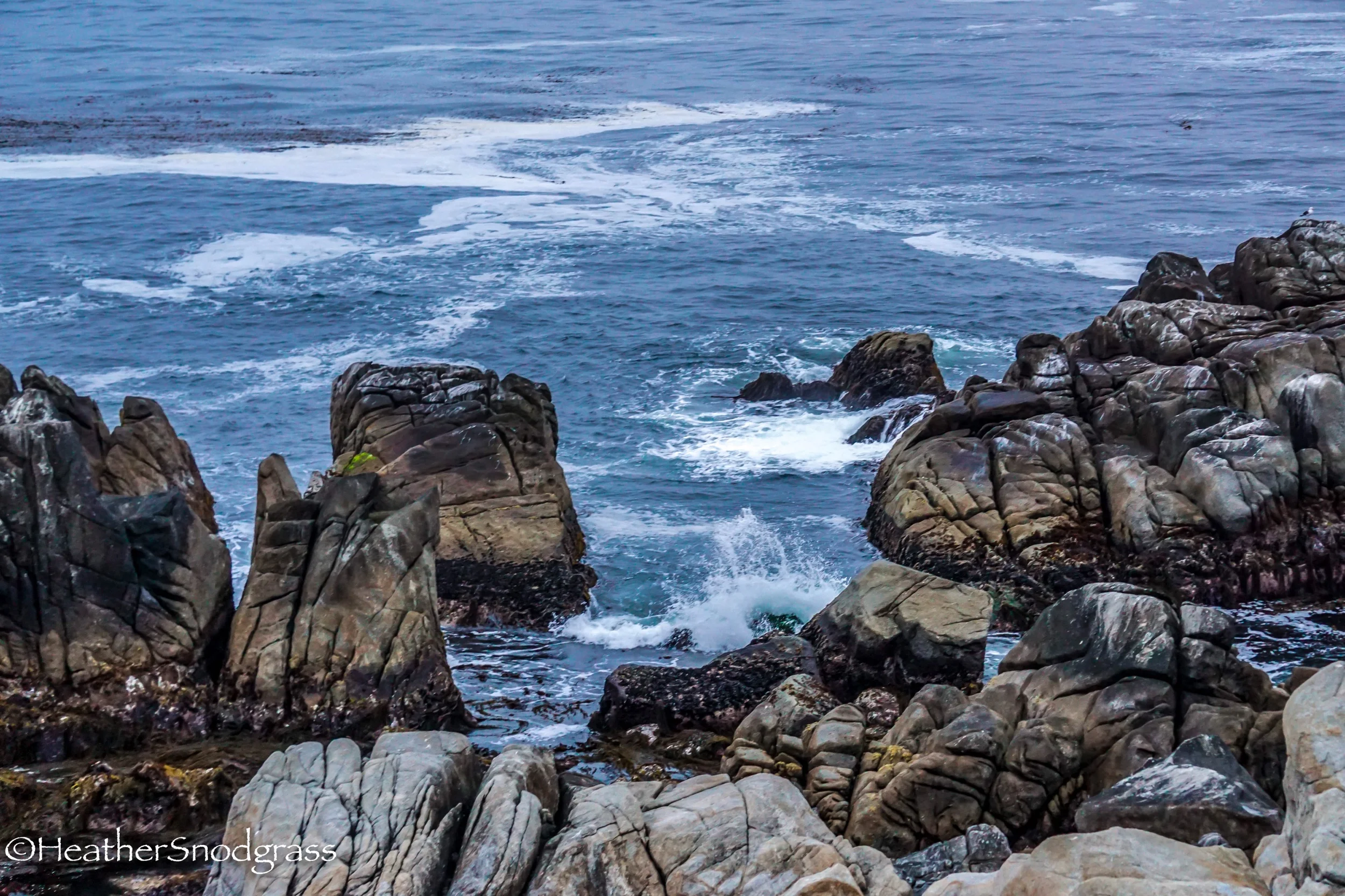 PCH (35 of 542)Lightroom Bay.jpeg